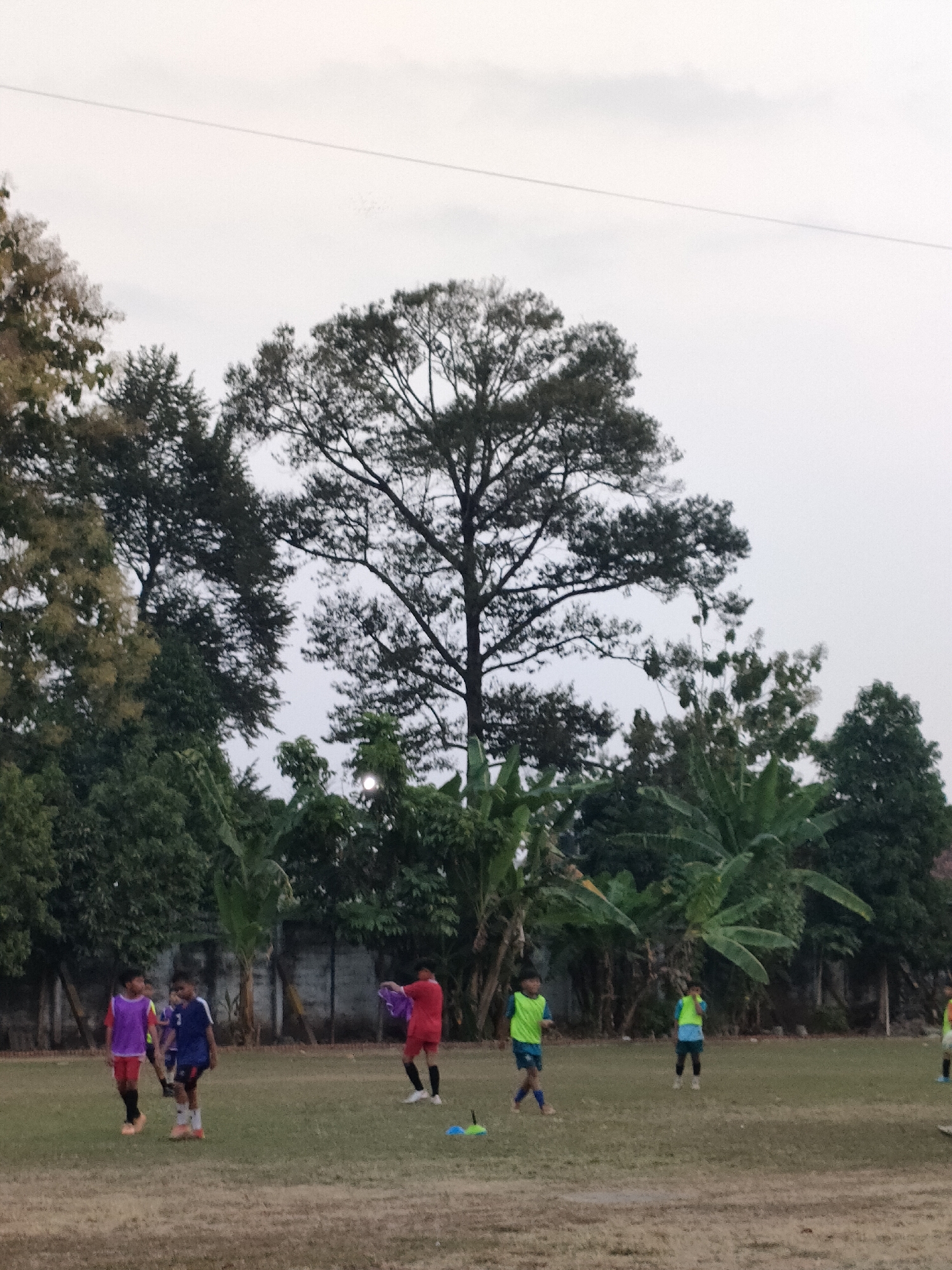 In Banguntapan, Indonesia, on a grassy field with a grey sky, a group of young boys are engaged in a soccer practice. A large tree with dark foliage dominates the background, with a cluster of banana trees and other greenery to its right. The boys, dressed in athletic wear of various colors including red, purple, blue, and green vests, are positioned across the field. Some are running or standing, while one boy in red is seen holding a purple garment. Two small orange and blue cones are visible on the grass near the center of the image. A weathered concrete wall runs along the back of the field, behind the trees.