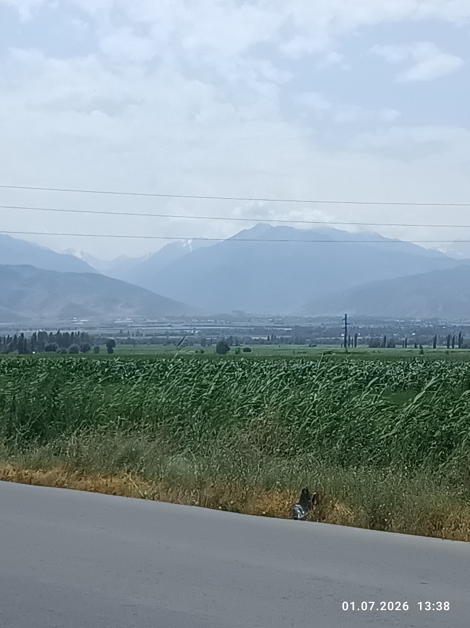 A wide shot shows a hazy landscape of mountains in the distance. In the foreground, a dirt road meets a dense green field of crops, likely corn, with dry grass bordering the road. Power lines are visible in the sky. The timestamp "01.07.2026 13:38" is superimposed on the lower right corner of the image.