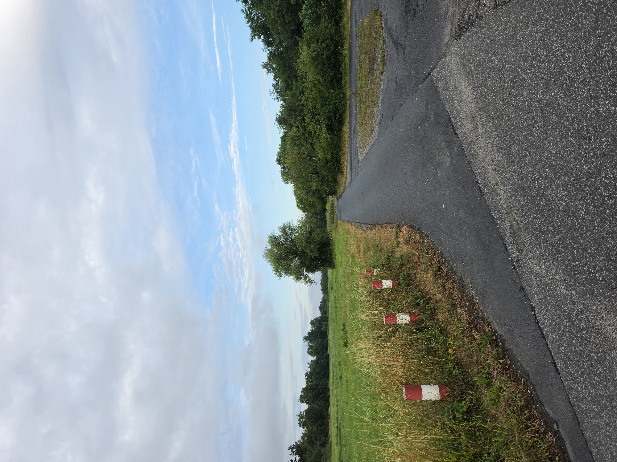 This is an eye-level, full shot of a paved road with a field on the left and trees on the right. The sky is partly cloudy with patches of blue. The road curves from the right side of the frame and disappears into the distance on the left. There are several red and white bollards lining the edge of the field. The field is covered in tall green grass and some dry, yellow grass. A single large tree stands in the middle ground on the right side of the field. The trees on the right are dense and green. The scene appears to be in a rural area, possibly near the floodplains of the Main River in Kelsterbach, Germany, given the presence of a road bordering a large green area and its proximity to the river.