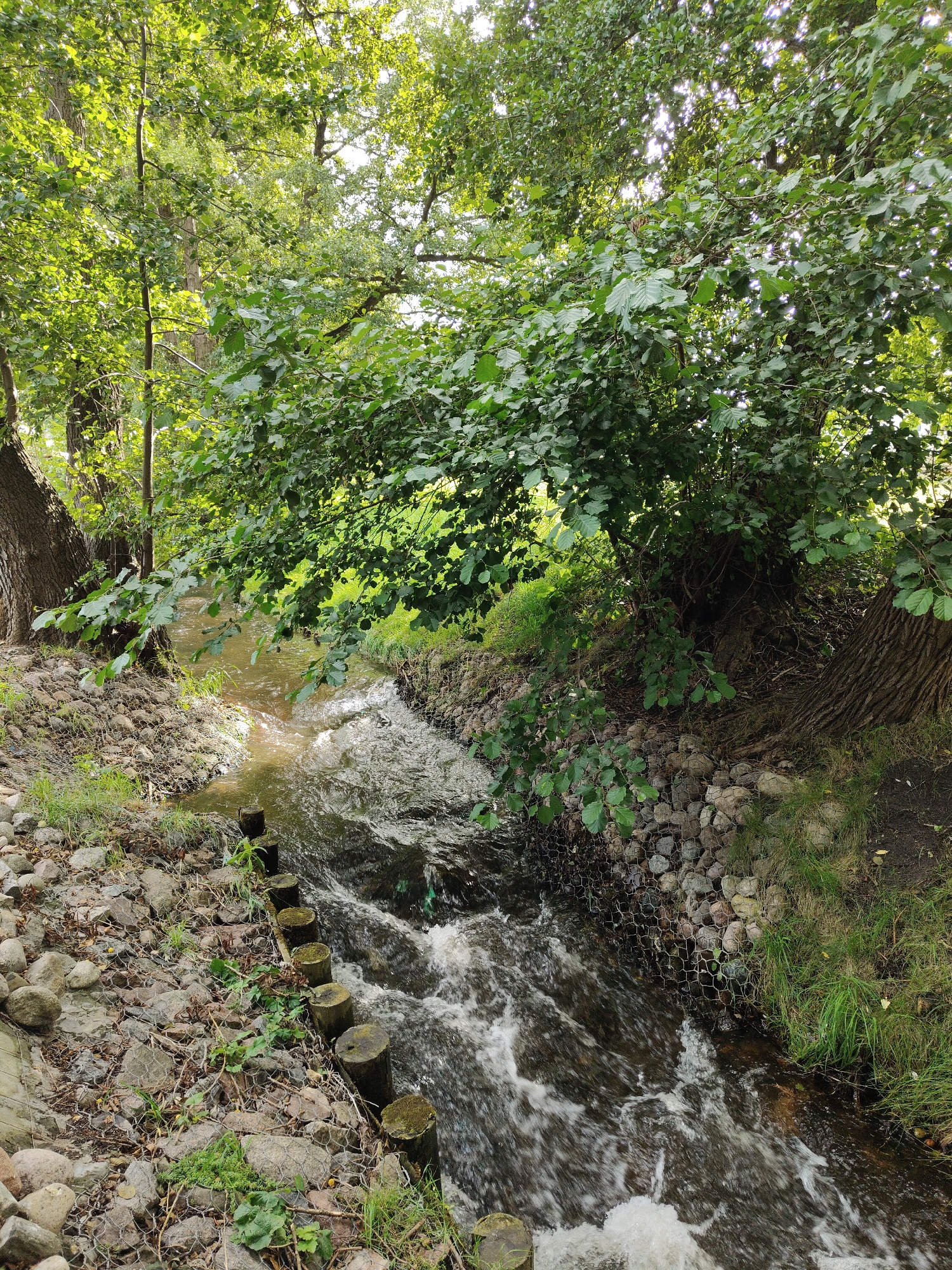 The image shows a narrow, shallow stream flowing through a park-like environment. The stream banks are reinforced with rocks and wire mesh, with a line of wooden posts visible along the left bank. Lush green trees and foliage overhang the stream, with sunlight filtering through the leaves. The water is clear and appears to be flowing at a moderate pace, with some whitewater visible. The overall impression is one of a natural, albeit managed, waterway in an urban green space. This scene is likely located within the city of Rumia, Poland, given the provided context. There are no people or animals visible in the image.