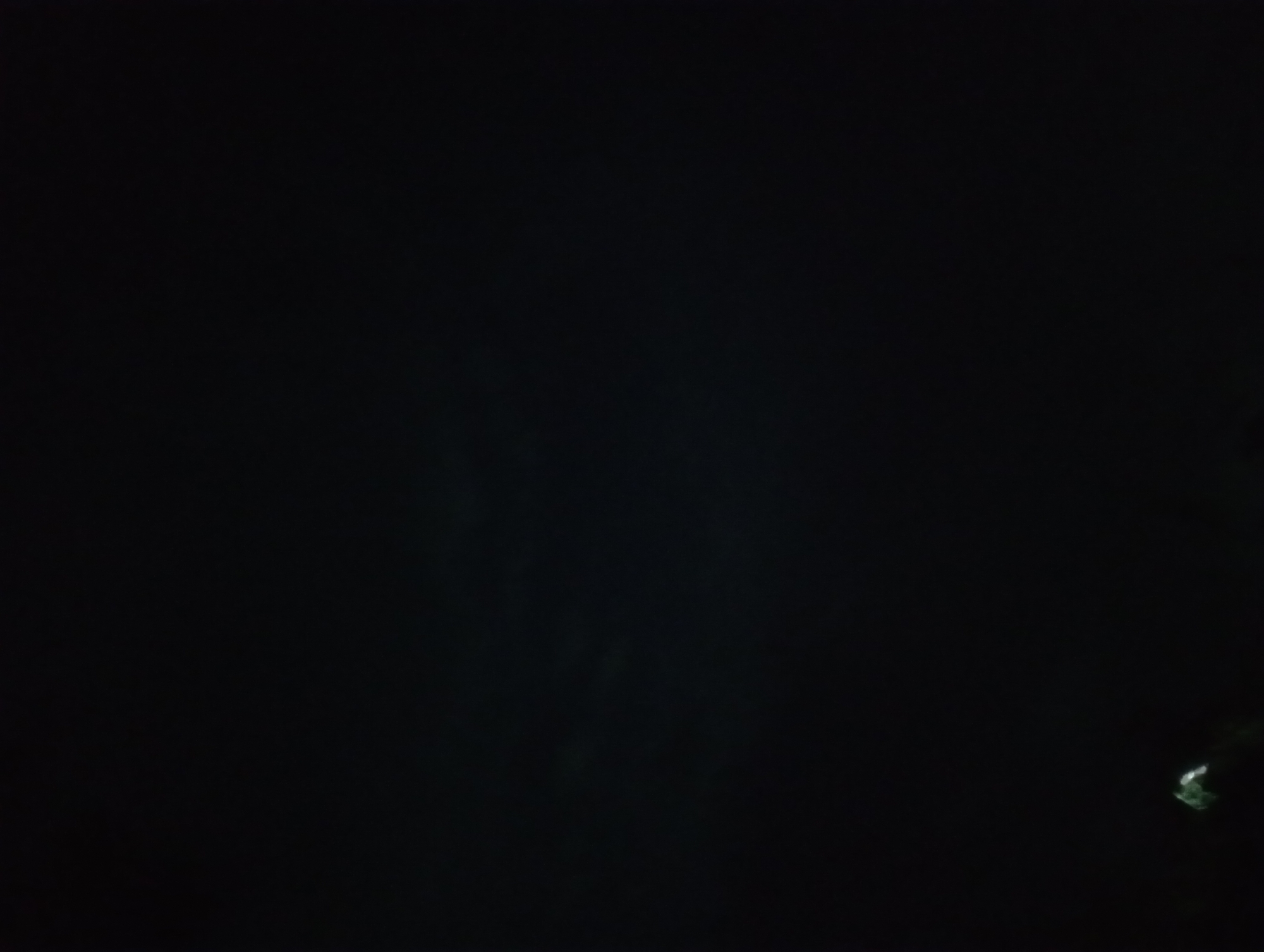 The image is a very dark, low-resolution photograph of an outdoor scene at night. In the bottom left corner, there is a small, blurry, greenish-white object. The rest of the image is almost entirely black, with some faint, indistinct horizontal lines visible in the upper half, possibly suggesting distant lights or cloud cover. There are no people, discernible structures, or clear environmental details present. The image's low quality and the darkness make it impossible to identify a specific location within Chornomorsk, Ukraine, or to provide any forensic details about a scene.