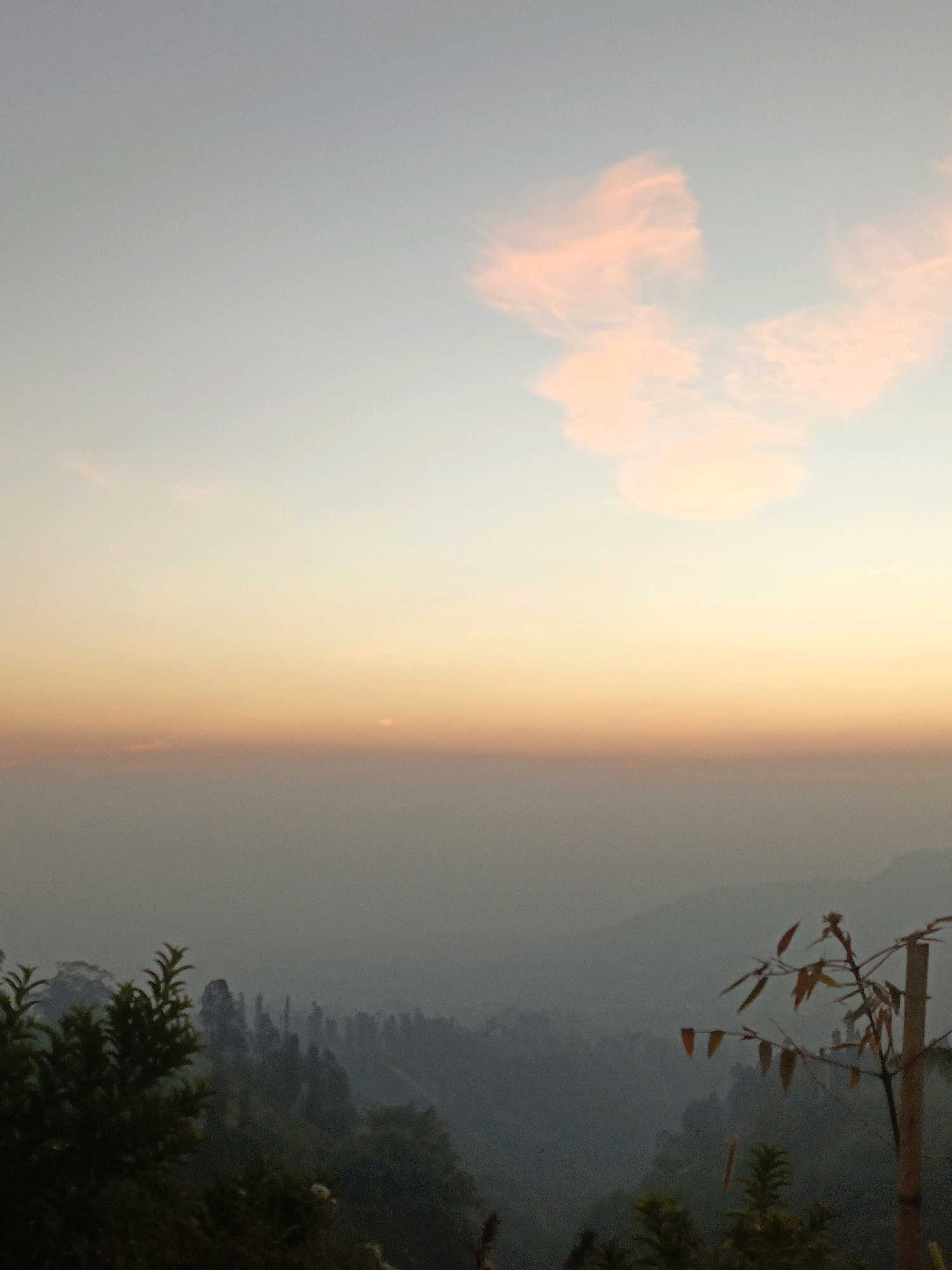 The image depicts a hazy, mountainous landscape at sunset. The sky transitions from a pale blue at the top to a soft orange and then a muted gray as it meets the horizon, suggesting atmospheric conditions or a thick haze. A small, faint circle, likely the setting sun, is visible near the center of the horizon line. In the upper portion of the sky, there are wispy, pale pink clouds.
The foreground shows a silhouette of lush, dark green vegetation, including what appears to be bamboo stalks with sparse leaves in the right foreground. In the middle ground, layers of rolling hills or mountains fade into the distance, shrouded in the same haze that blankets the sky. The overall impression is one of natural beauty, possibly a scenic overlook or a view from a higher elevation. There are no people, animals, or man-made structures clearly visible in the image. The scene conveys a sense of tranquility and the vastness of the natural environment.