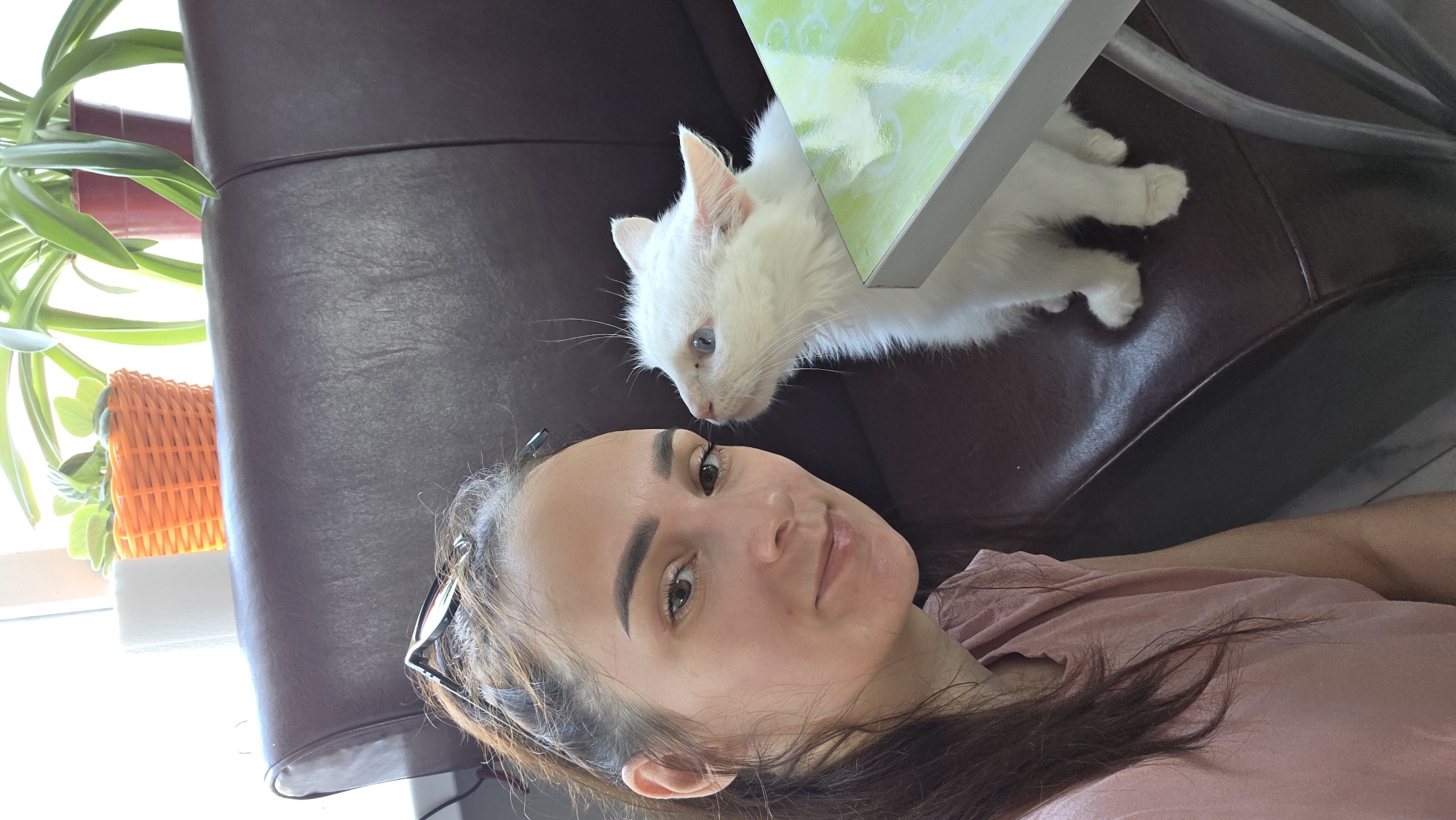 A young woman with dark hair pulled back, wearing a pink t-shirt, is taking a selfie with a fluffy white kitten. She is sitting on a dark brown leather bench. The kitten, with striking blue eyes, is looking up at the woman, its nose nearly touching hers. A light green patterned table edge is visible in the foreground. In the background, a window with bright light shows two potted plants. The setting appears to be indoors, possibly a cafe or a home. There are no specific landmarks in the image that would indicate the location in Старошареево, Russia.
