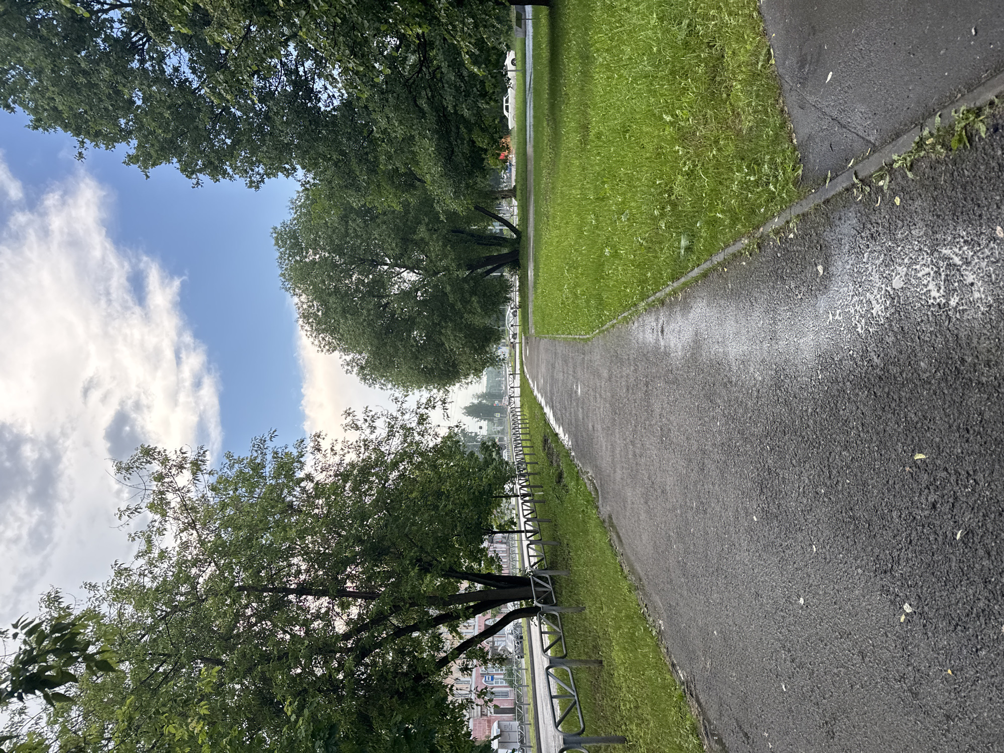 A paved pathway curves to the right, bordered by lush green grass on the right and a metal fence separating it from a road on the left. The road, wet from recent rain, has several cars visible. Beyond the road, buildings with pink facades line the street. Two large, mature trees with full green canopies dominate the left and right foreground, with more trees in the midground. The sky above is a mix of blue patches and white and grey clouds. The scene appears to be a park or a public space within a city, possibly in Usolye, Russia, given the architecture and landscape. There are no people visible in the image.