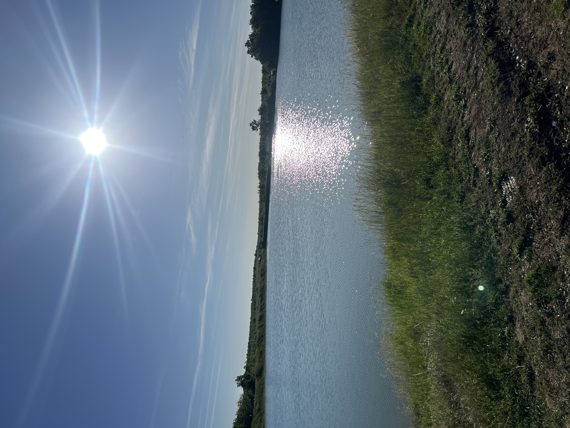 The image depicts a landscape featuring a body of water, likely a lake or river, under a bright sky. The sun is prominent in the sky, emitting strong rays. The water surface reflects sunlight, creating a shimmering effect. The shoreline is defined by green vegetation, possibly grass and reeds, transitioning into darker soil. Trees and foliage are visible in the background on the opposite shore. The location is unspecified and unknown.