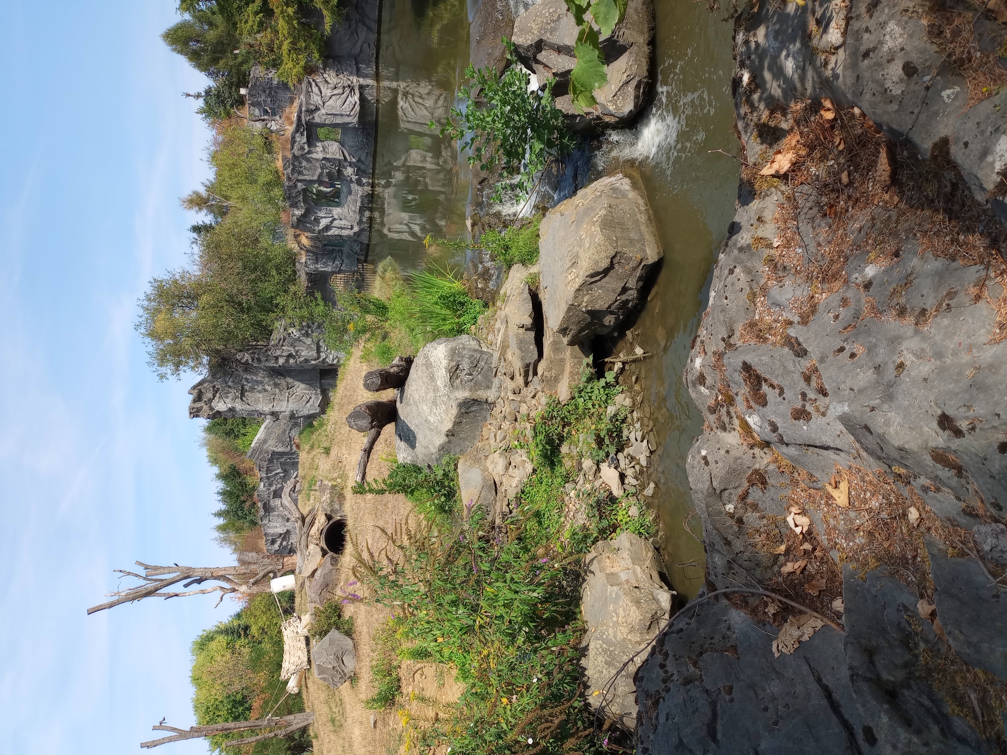 The image depicts an outdoor enclosure, likely within a zoo, featuring a rocky, naturalistic habitat designed for animals. The environment includes a small waterfall cascading into a pool of water, surrounded by large rocks, sparse vegetation, and dry grass. In the background, there are artificial rock formations with openings that resemble caves or shelters. Several dead trees and branches are scattered throughout the scene. The sky above is clear and blue. The overall impression is one of a constructed environment intended to mimic a natural habitat. It is highly probable that this scene is located at the Zoom Erlebniswelt Gelsenkirchen, a zoological garden in Gelsenkirchen, Germany, known for its themed areas replicating different continents and habitats.