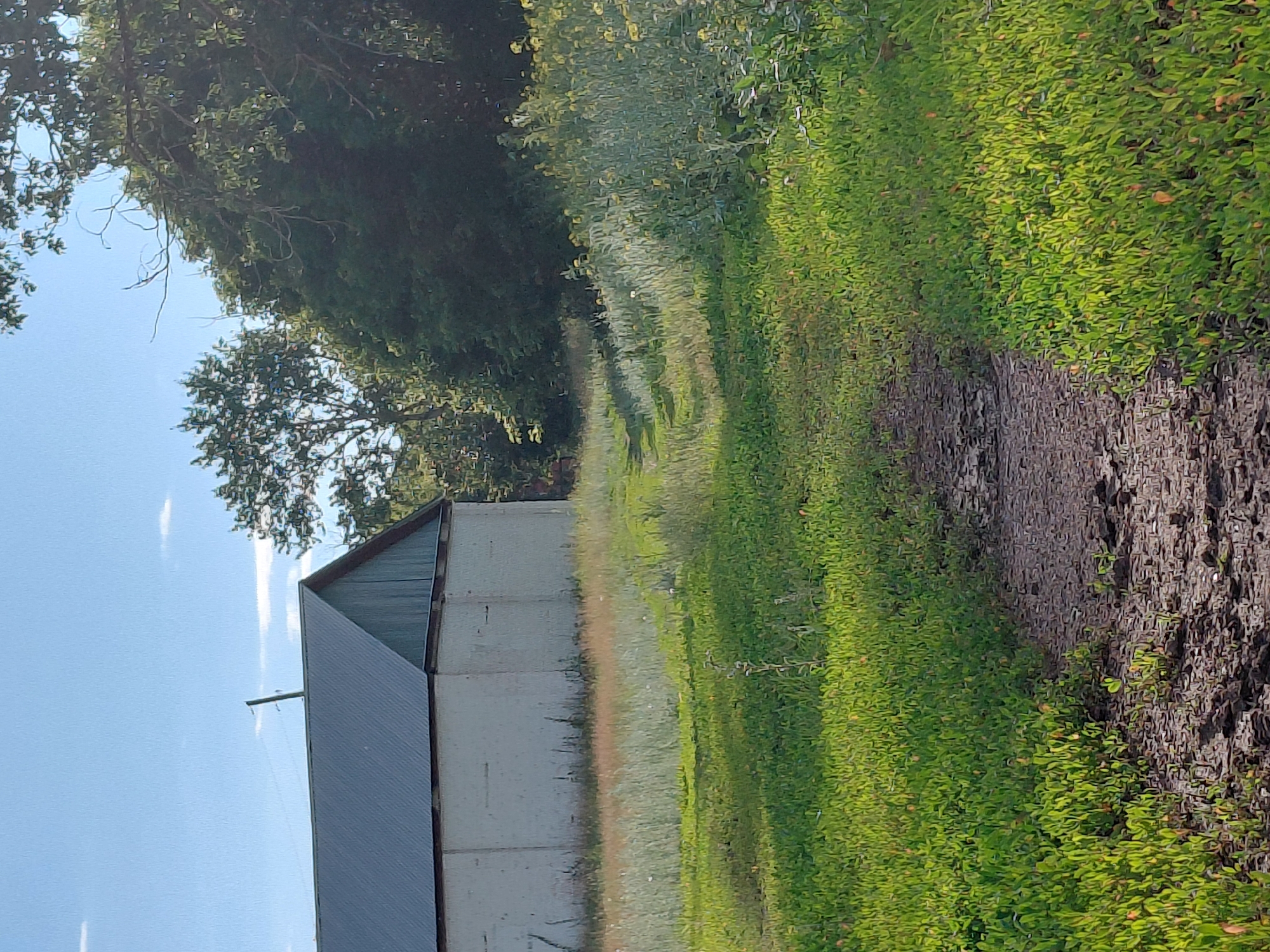 The image depicts an outdoor scene, oriented vertically, with a clear blue sky in the upper left quadrant and lush green vegetation filling the right side. A portion of a building, likely a barn, is visible on the left, characterized by its white, textured walls and a dark, sloped roof. The building's structure suggests it is a functional, possibly agricultural, edifice.
Beside the building, a narrow, dirt path runs parallel to the dense green foliage. The path appears well-trodden, with loose soil and small stones. The vegetation is vibrant and appears to be a mix of grasses and small plants, some with hints of orange or red, possibly berries or flowers. The overall impression is of a rural or semi-rural setting.
The lighting suggests it is daytime, with sunlight casting shadows and highlighting the textures of the plants and the path. The clear sky implies fair weather. There are no people or animals visible in the frame. The composition, with the building and path leading the eye into the distance alongside the vibrant greenery, evokes a sense of peacefulness and natural beauty. The image appears to be a snapshot of a quiet, sunlit day in a country setting.
