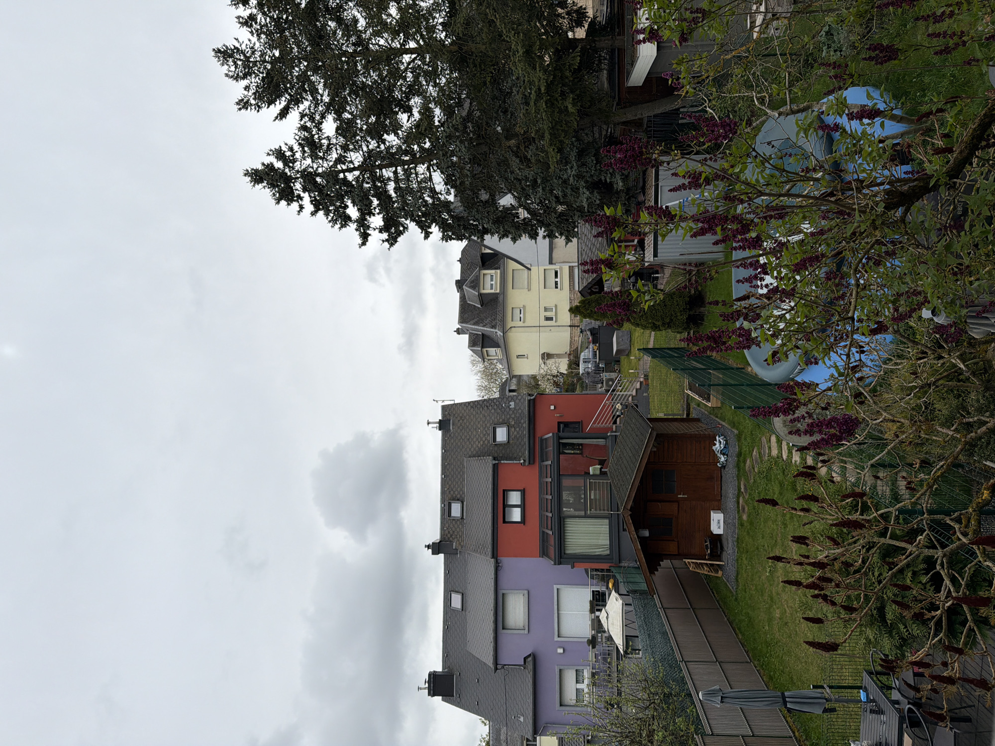 The image depicts a residential area in Esch-sur-Alzette, Luxembourg, under an overcast sky. Several houses with varying architectural styles and colors (purple, red, yellow) are visible. A large tree dominates the upper portion of the frame, with branches obscuring parts of the houses. In the foreground, a garden area is present, featuring a wooden shed, a swimming pool, a tree with purple flowers, and outdoor furniture (table, chairs, umbrella). A green fence separates the garden from the neighboring properties. No people are visible in the image.