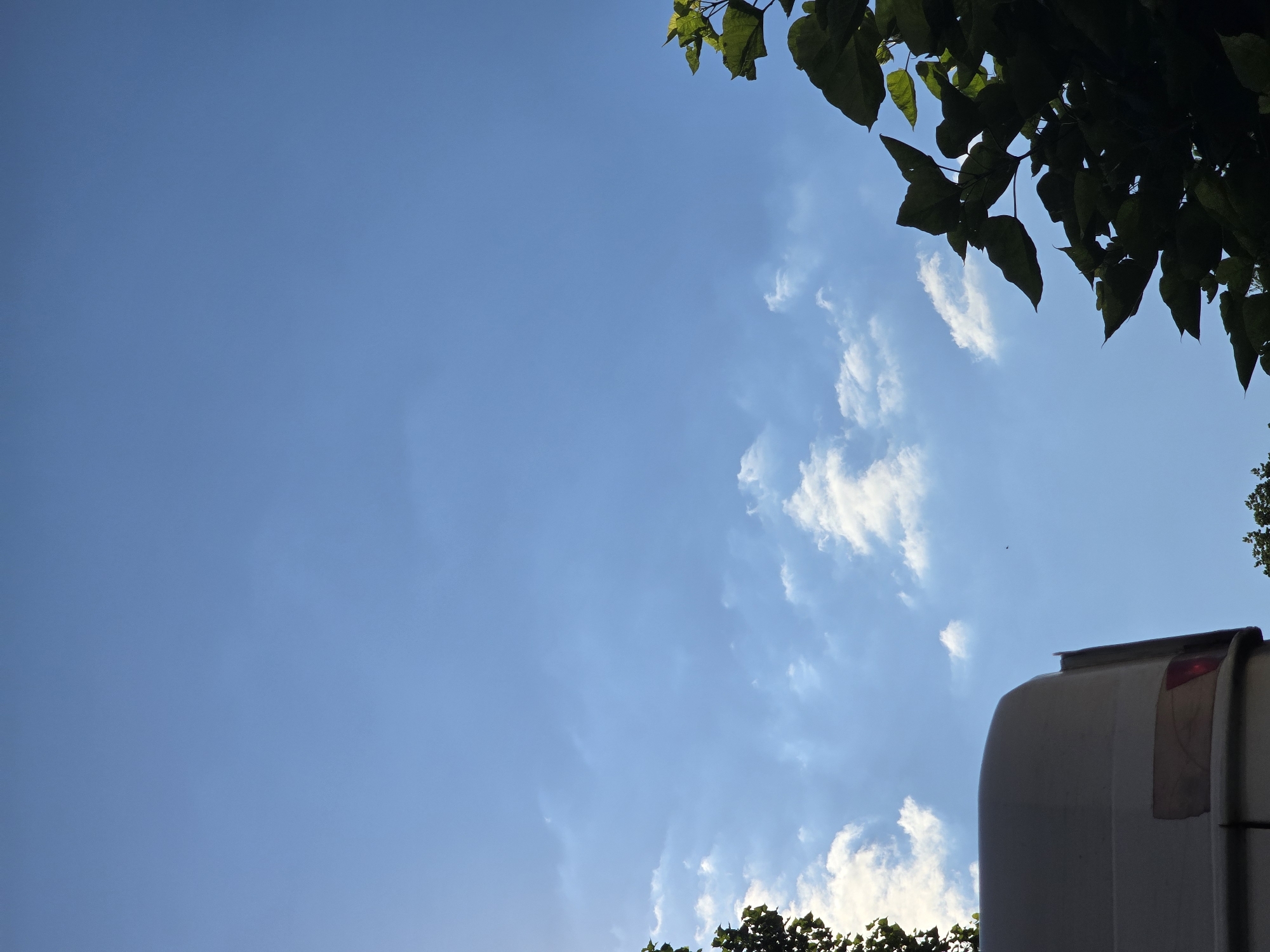 The image shows a view of the sky from a low angle, with some trees and the top of a vehicle. The sky is blue with scattered white clouds. The trees are green and leafy, and they frame the edges of the image. The vehicle appears to be light-colored, possibly a camper or RV, with a rounded top. There is a small red reflector on the side of the vehicle. A tiny black speck, possibly an insect or bird, is visible in the sky. The image appears to have been taken outdoors during the day. The location is Vyshneve, Ukraine.