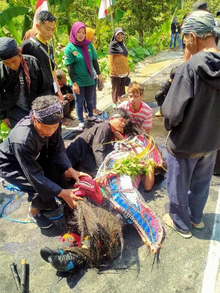 A daytime, outdoor scene in Ngargoyoso, Indonesia, captures a group of people gathered on a paved surface. In the foreground, two men in dark attire and traditional headwraps kneel. The man on the left manipulates a red mask featuring prominent white teeth and long, black fibrous hair, appearing to attach or detach it from an unseen base. Adjacent to him, another kneeling man attends to a large, colorful fan-like structure, predominantly blue, pink, and white, adorned with green leaves, suggestive of a traditional Reog Ponorogo performance element. To their right, a younger man with smudged makeup on his face and wearing a striped t-shirt kneels, observing the primary activity.
Several individuals stand observing the scene: a man in a black t-shirt with a yellow collar stands on the left, a woman in a green t-shirt and purple hijab stands near the center, and a woman in a brown patterned top and black hijab stands smiling on the right. Additional people are visible in the midground and background. The ground is a dark grey paved surface with visible white lines. In the background, lush green vegetation, including banana leaves, is prominent, and two red-and-white Indonesian flags are visible on poles. A blue rope is coiled on the ground near the man handling the mask, and a black Adidas sneaker lies on its side nearby, along with two dark, wrapped stick-like objects.