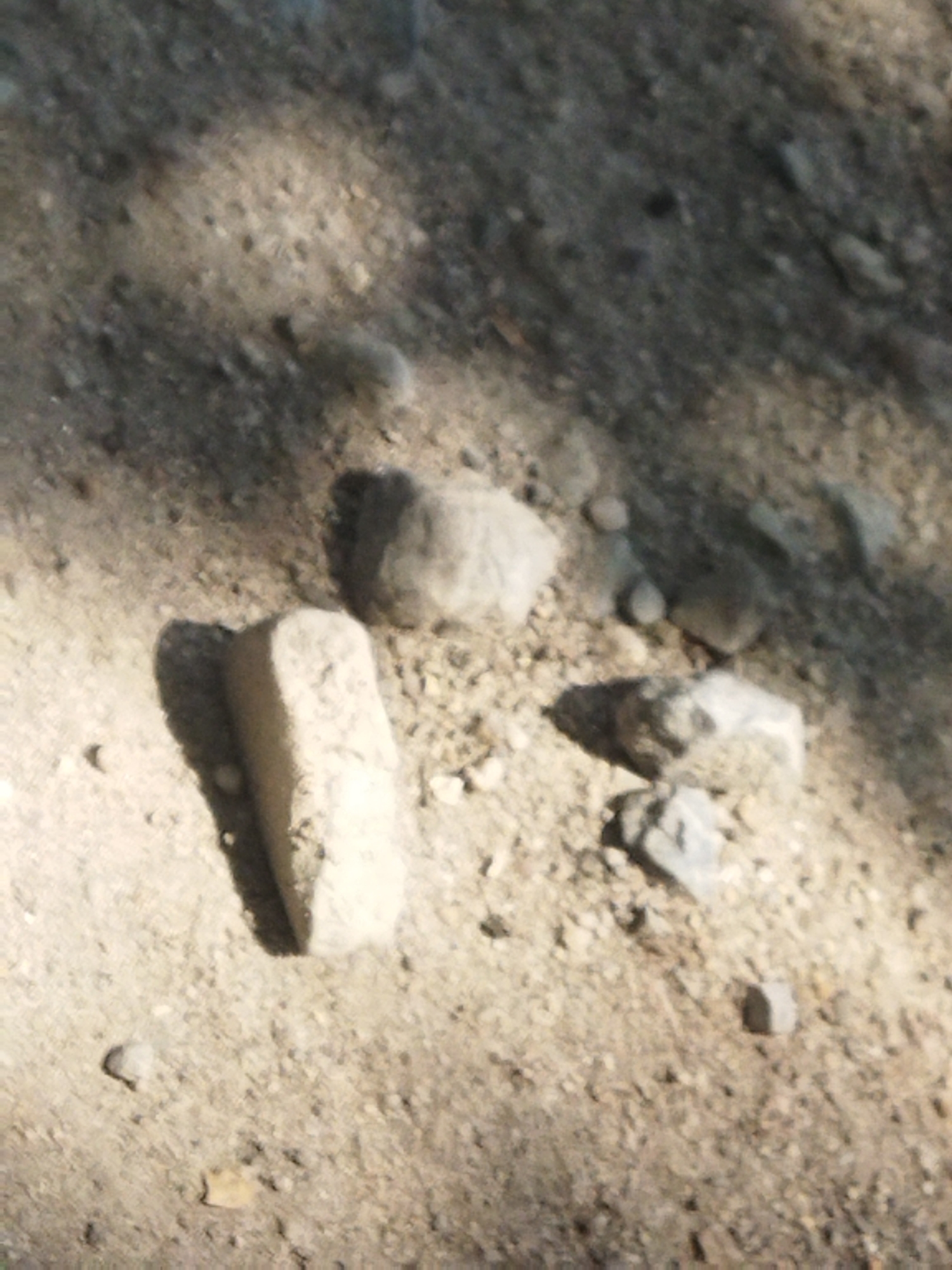 The image shows a close-up, slightly blurry view of a dirt ground surface with various rocks and pebbles scattered across it. In the foreground, a light-colored, rectangular-shaped object, possibly a small piece of concrete or stone, lies horizontally. To its right, a few more rocks of varying sizes and colors are visible, some casting shadows. The ground is a mix of sand and small stones, with patches of light and shadow suggesting an outdoor environment, possibly under sunlight. The scene appears to be located in a natural or semi-natural setting, potentially an unpaved area or a construction site. There are no people or animals present in the image. The overall impression is one of an ordinary, somewhat untidy ground surface.