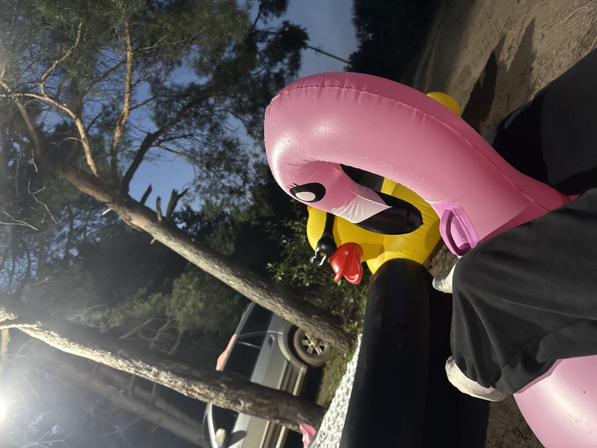In Garevaya, Russia, at dusk, a person sits on an inflatable pink flamingo. To their right is a yellow inflatable duck with black goggles and a red beak. Behind them, a silver SUV is parked near trees. The ground is dirt, and tall pine trees with branches overhead indicate a forested area. The sky is a deep blue.