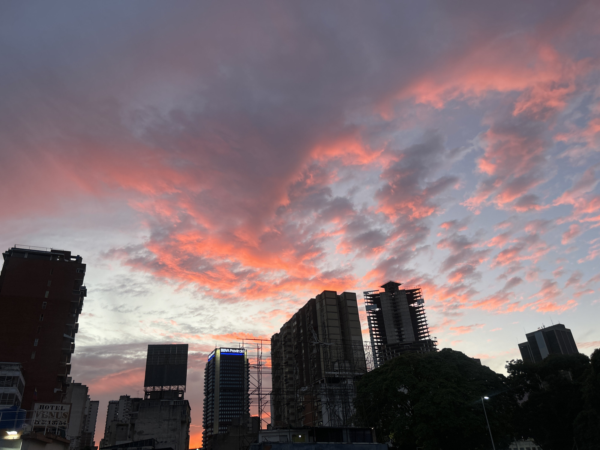 The image shows a cityscape at sunset in Caracas, Venezuela. Tall buildings dominate the skyline, with some appearing under construction. The sky is filled with pink and gray clouds, indicating the presence of scattered cloud cover at sunrise or sunset. One of the buildings displays the "BBVA Provincial" logo. In the lower left, the sign "HOTEL VENUS" is visible. Some trees and lamp posts are seen on the right side, suggesting an urban park or street setting. No people are visible in the image.