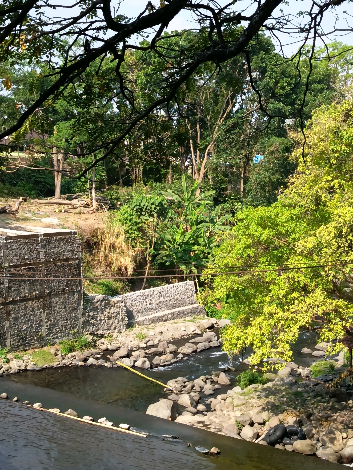 The image depicts a natural scene with a river flowing through a rocky area, bordered by stone walls and lush vegetation. The environment suggests a semi-urban or natural setting, possibly a park or a riverside area within or near the city of Wangen, Indonesia, known for its natural landscapes and rivers. The scene is characterized by clear water, various sizes of rocks and stones, and a dense backdrop of trees and foliage, with a bright sky overhead. There are no people visible in the image, and no discernible actions or interactions are taking place. The focus is entirely on the natural elements and the constructed riverbanks.