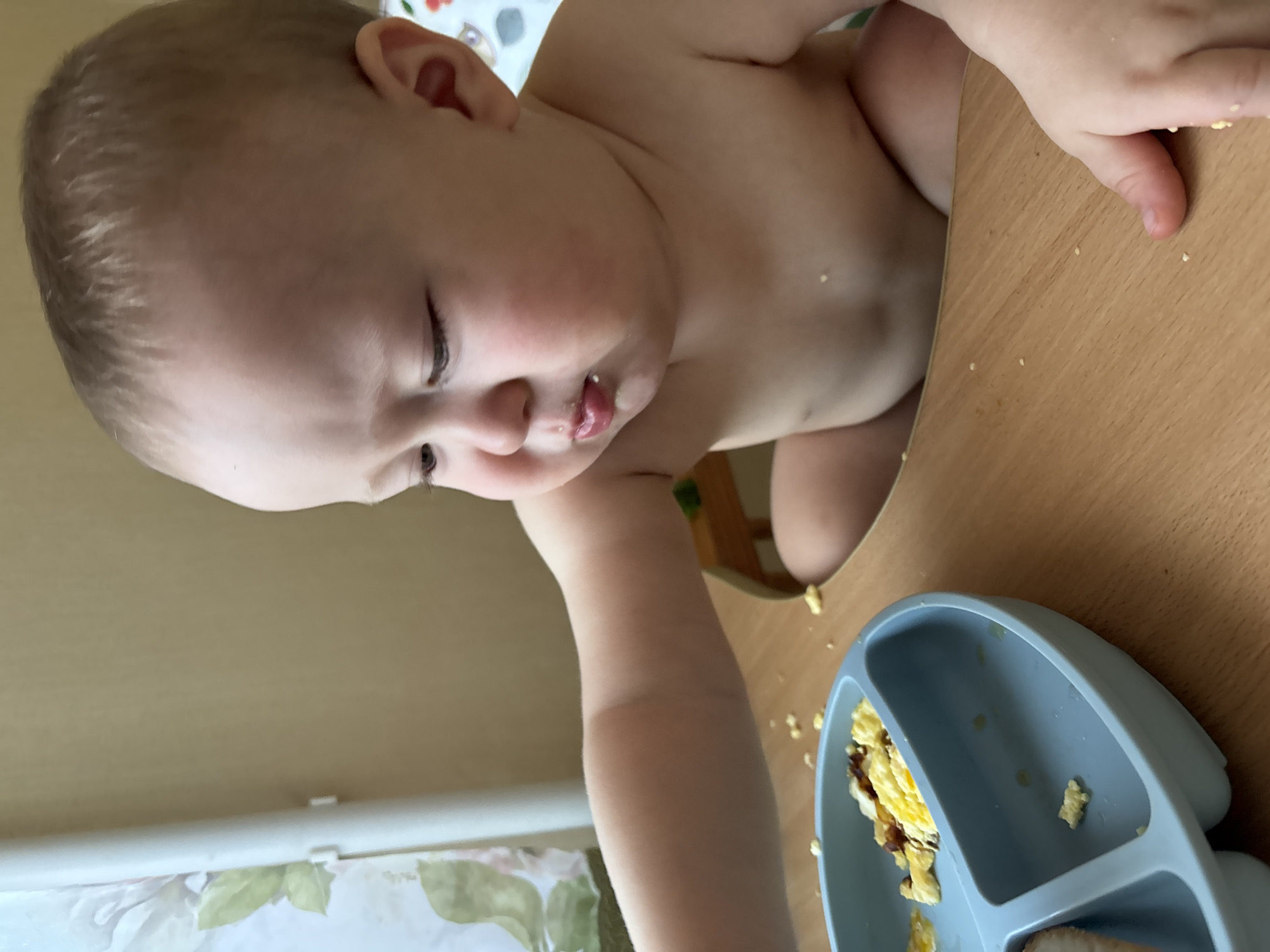 A young toddler, appearing to be around 1-2 years old, is seated in a high chair and is in the process of eating. The toddler is wearing no clothing and has some food particles visible on their face and chest. They are looking down at a blue segmented plate that contains scrambled eggs and other food items. The plate is positioned on a wooden table, which is also scattered with small food crumbs. The background shows a light-colored wall and a portion of a curtain with a floral pattern. The image is taken from a close-up perspective, focusing on the toddler and their meal. There is no information within the image that can be used to determine the location in the city of Naberezhnye Chelny, Russia.