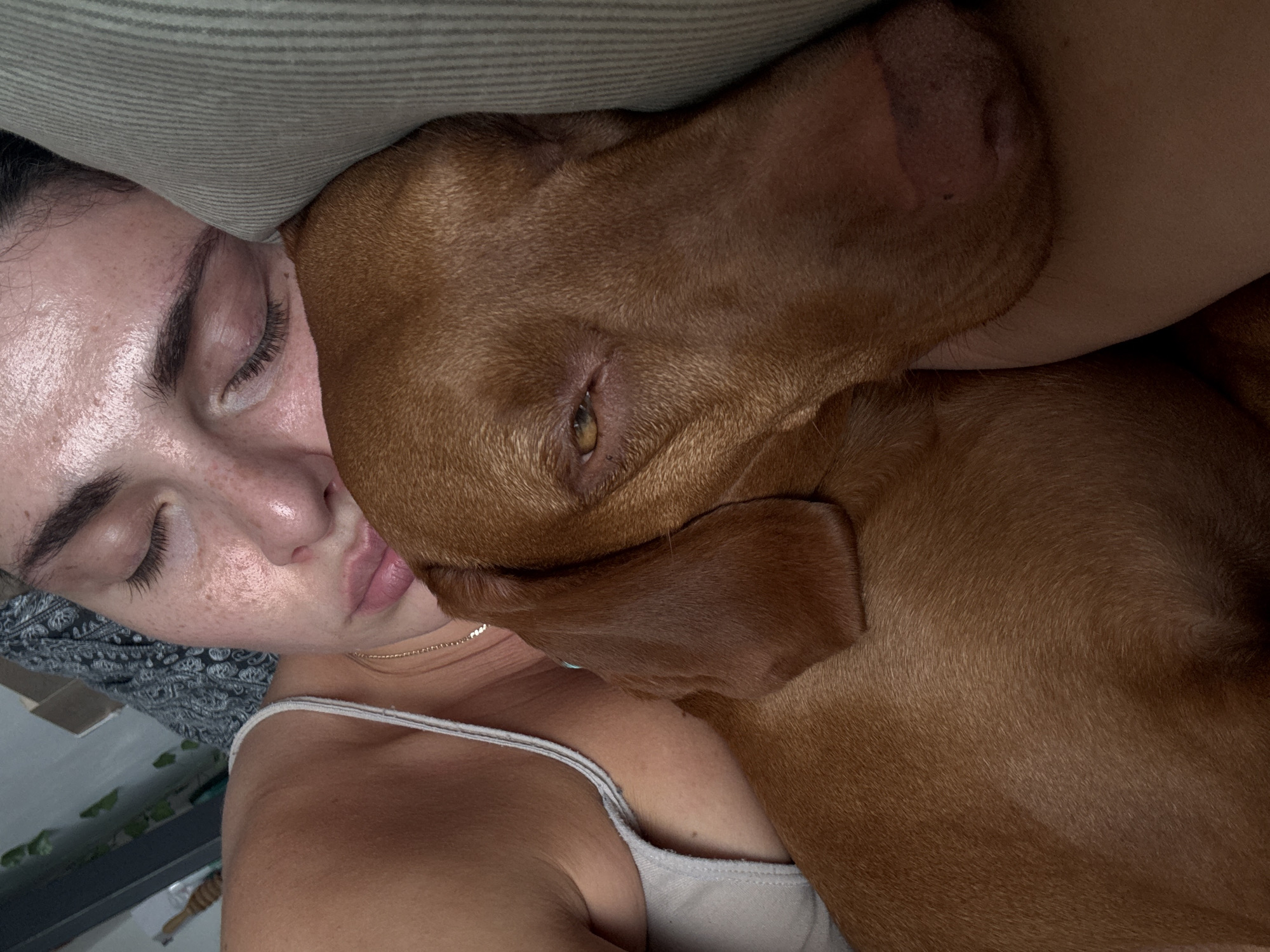 An intimate overhead shot captures a person and a dog cuddling closely, likely resting or sleeping together. The person, appearing to be a woman, lies on the left side of the frame with her eyes closed in relaxation. She has freckled skin, dark eyebrows, and long eyelashes, and wears a light-colored tank top and a thin gold chain necklace. Her head rests on a dark grey fabric with a lighter patterned design.
Nuzzled against the person's face and upper chest is a large dog with short, reddish-brown fur, possibly a Vizsla. One of the dog's amber-colored eyes is partially open, glancing towards the viewer, while its head is pressed against the person's cheek. A light green or grey striped pillow partially covers both the person's head and a portion of the dog's head, emphasizing the shared, cozy space.
The scene conveys a strong sense of comfort, affection, and peaceful intimacy between the person and their animal companion. The soft, warm lighting contributes to the tranquil atmosphere. The setting appears to be indoors, likely a bed or couch, with no specific location identifiers beyond that. There is no visible text in the image.