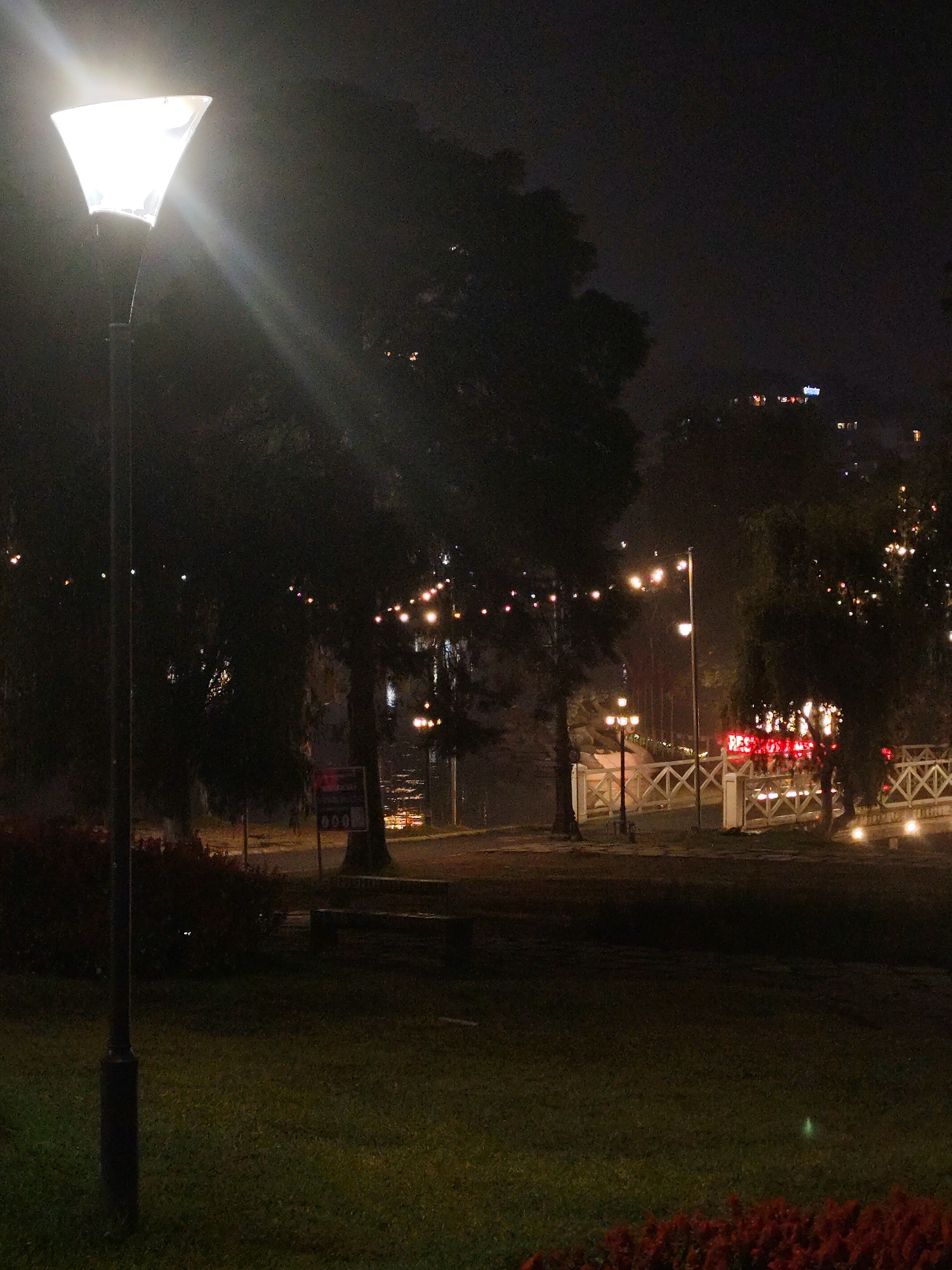 The image depicts a night scene in Da Lat, Vietnam. A brightly lit, modern street lamp dominates the foreground, casting light onto a grassy area and a flowerbed with red blossoms in the lower portion of the frame. A bench is visible behind the flowers.
In the midground, string lights are strung between trees. A white bridge with cross-lattice railings is illuminated by several lampposts. Beyond the bridge, a building is visible with a sign reading "RESTAURANT" in red neon lights. The building appears to be surrounded by trees.
In the background, on an elevated area, are buildings and lights, likely part of the Da Lat cityscape. The overall atmosphere is dark with the exception of the concentrated areas of light. There are no visible people in the scene.