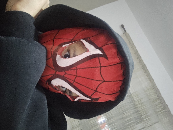 A person wearing a Spiderman mask peers from a black hoodie. The mask is red with a web pattern and large, cartoonish white eye shapes outlined in dark red. The person's eyes are visible through the mask's eye holes. The hoodie's hood is pulled up, framing the mask. A portion of the person's arm and shoulder, clad in the black hoodie, is visible on the left. A sheer curtain hangs in the background.