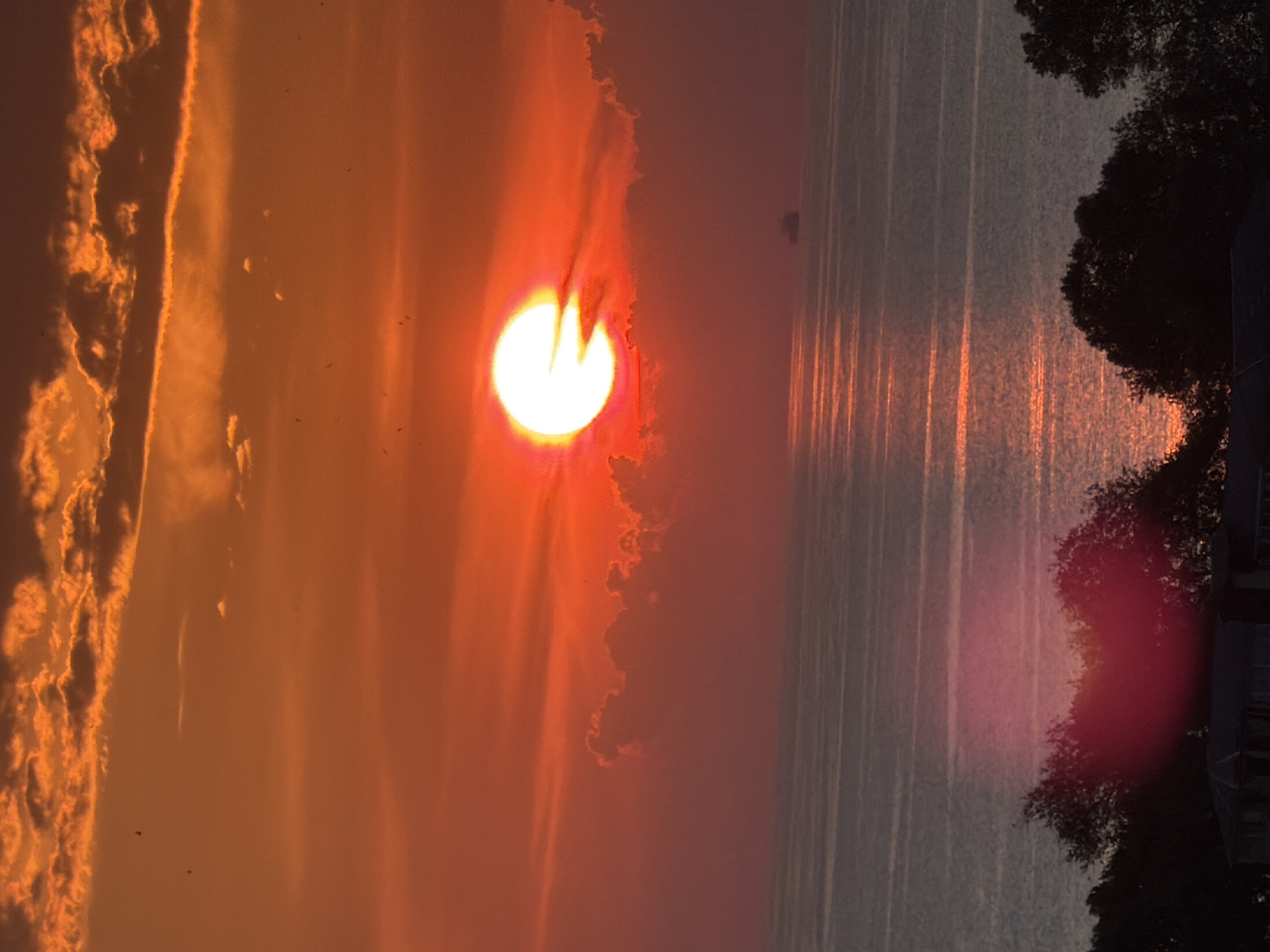 This is a photograph of a sunset over the Black Sea, taken from Sochi, Russia. The sun, a bright, glowing orb, is partially obscured by clouds and casts a fiery orange and red light across the sky. The surface of the water reflects the colors of the sunset, creating a shimmering path of light. In the distance, a silhouette of a ship can be seen on the horizon. The foreground features dark silhouettes of trees and a building, possibly indicating an elevated viewpoint within the city. The overall scene conveys a sense of calm and natural beauty.