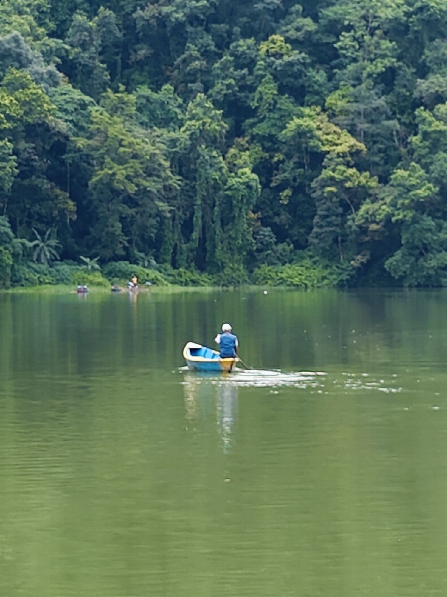 In Pokhara, Nepal, a person rows a blue and yellow boat across a calm, green lake. The boat leaves a wake behind it. In the background, a dense, green forest covers the hills that surround the lake. Several other small boats are visible in the distance, closer to the shore. The overall scene depicts a serene day on the water, with nature prominently featured.