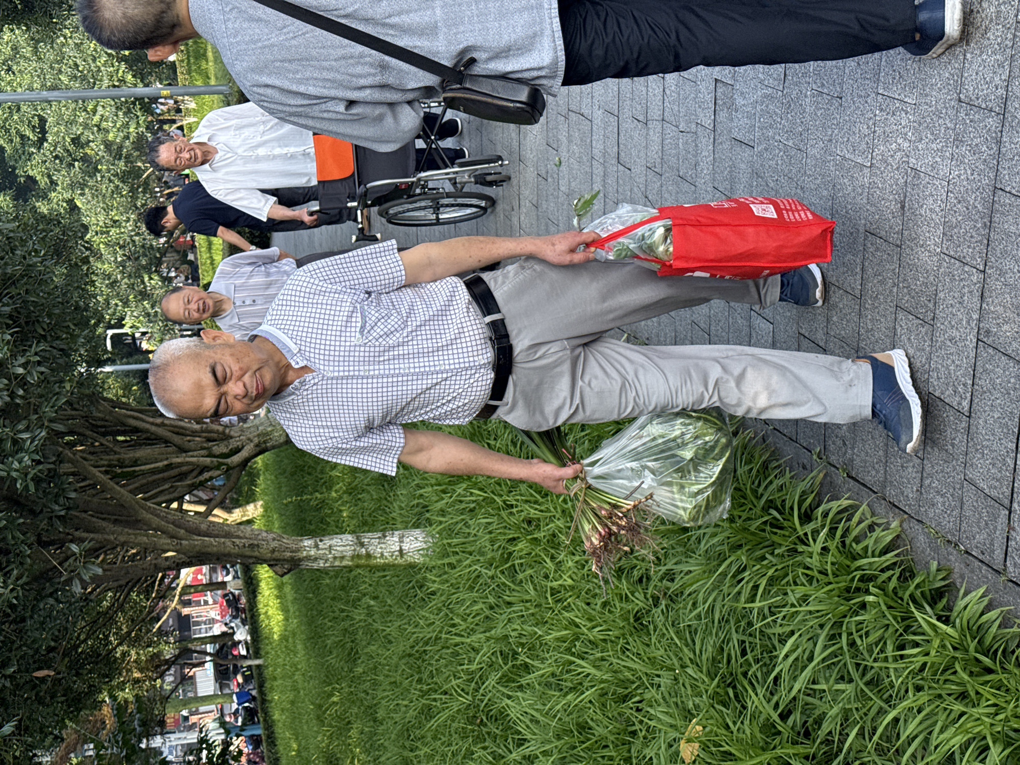 An elderly Asian man, wearing a checkered short-sleeved shirt, grey pants, and blue sneakers, walks along a paved sidewalk in Jiangjin, China. He carries a bunch of green leafy vegetables in a clear plastic bag in his left hand and a red reusable shopping bag in his right hand. Behind him, an elderly man in a white button-down shirt is pushing a wheelchair, occupied by another elderly man. Further behind, a younger man in a black shirt and dark pants walks alongside them, and to the right, the back of another person wearing a grey shirt and black pants is visible. The sidewalk is lined with green grass and trees. In the background, a street with parked motorcycles and buildings is visible. The scene appears to be a public park or walkway on a bright, possibly sunny day.