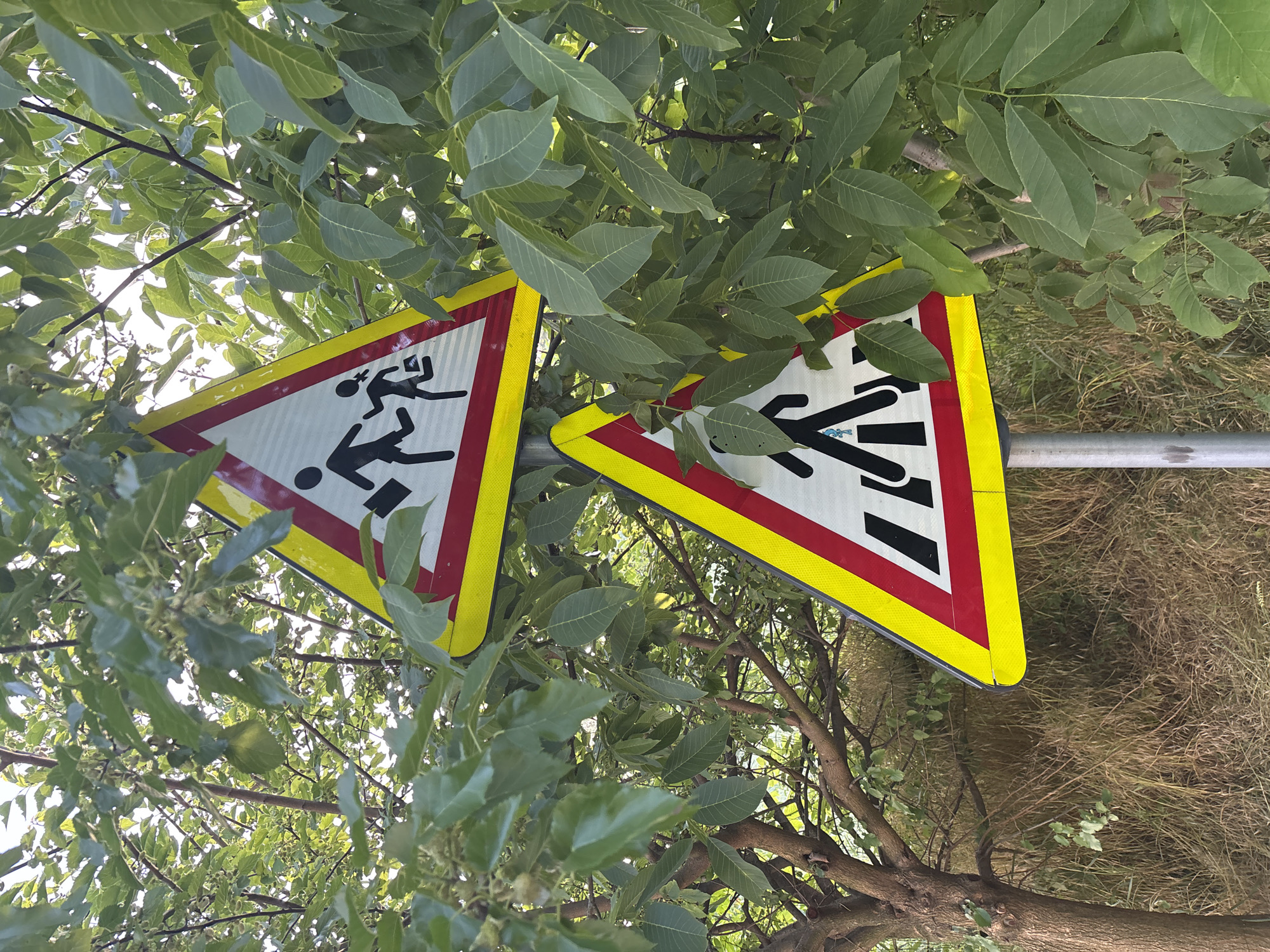The image shows two triangular warning signs, each with a yellow border and a red stripe along two edges. The top sign depicts two silhouetted figures, a boy and a girl, running, with the boy carrying a book bag. The bottom sign shows a silhouetted figure walking across a crosswalk. Both signs are mounted on a metal pole and are partially obscured by green foliage from trees. The background consists of dry grass and tree trunks. The setting appears to be a roadside or park area. Based on the provided information, this scene is located in Strășeni, Moldova.