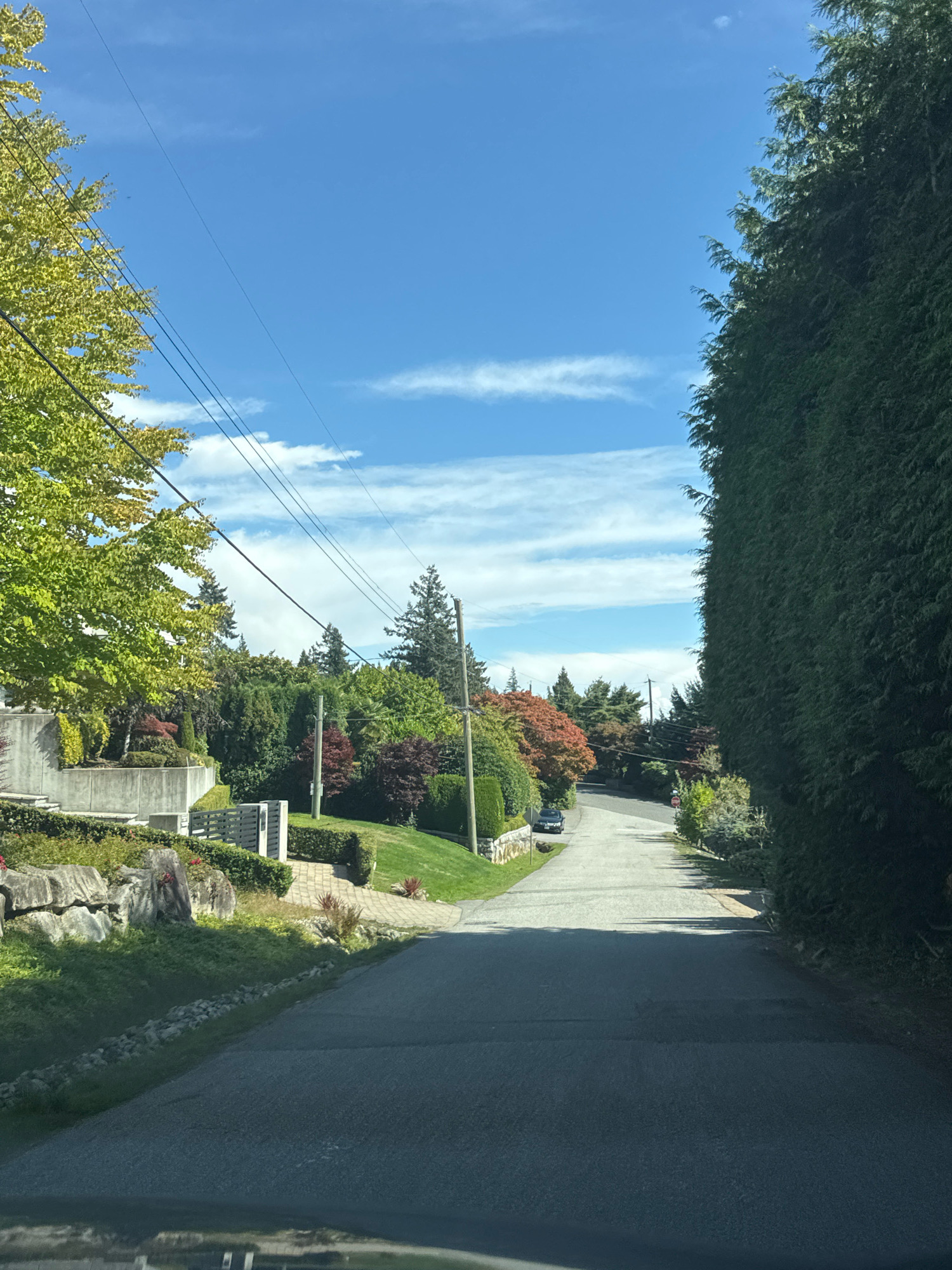 The image depicts a residential street in West Vancouver, Canada, on a clear day with a bright blue sky and scattered white clouds. The road, paved with asphalt, curves uphill and to the right. On the left side of the road, there is a sloped lawn with large rocks and a retaining wall. Further up the slope, a modern house with concrete exterior walls is visible, surrounded by meticulously landscaped gardens featuring various trees and shrubs, some with autumn foliage in shades of red and orange. Power lines run diagonally across the sky, supported by wooden poles.
On the right side of the street, a tall, dense hedge of evergreen trees forms a natural wall. A black car is parked on the side of the road further up the street. The scene suggests a well-maintained, affluent neighborhood with abundant greenery. The perspective is from a vehicle looking forward, implying the image was taken while driving or parked on the street.