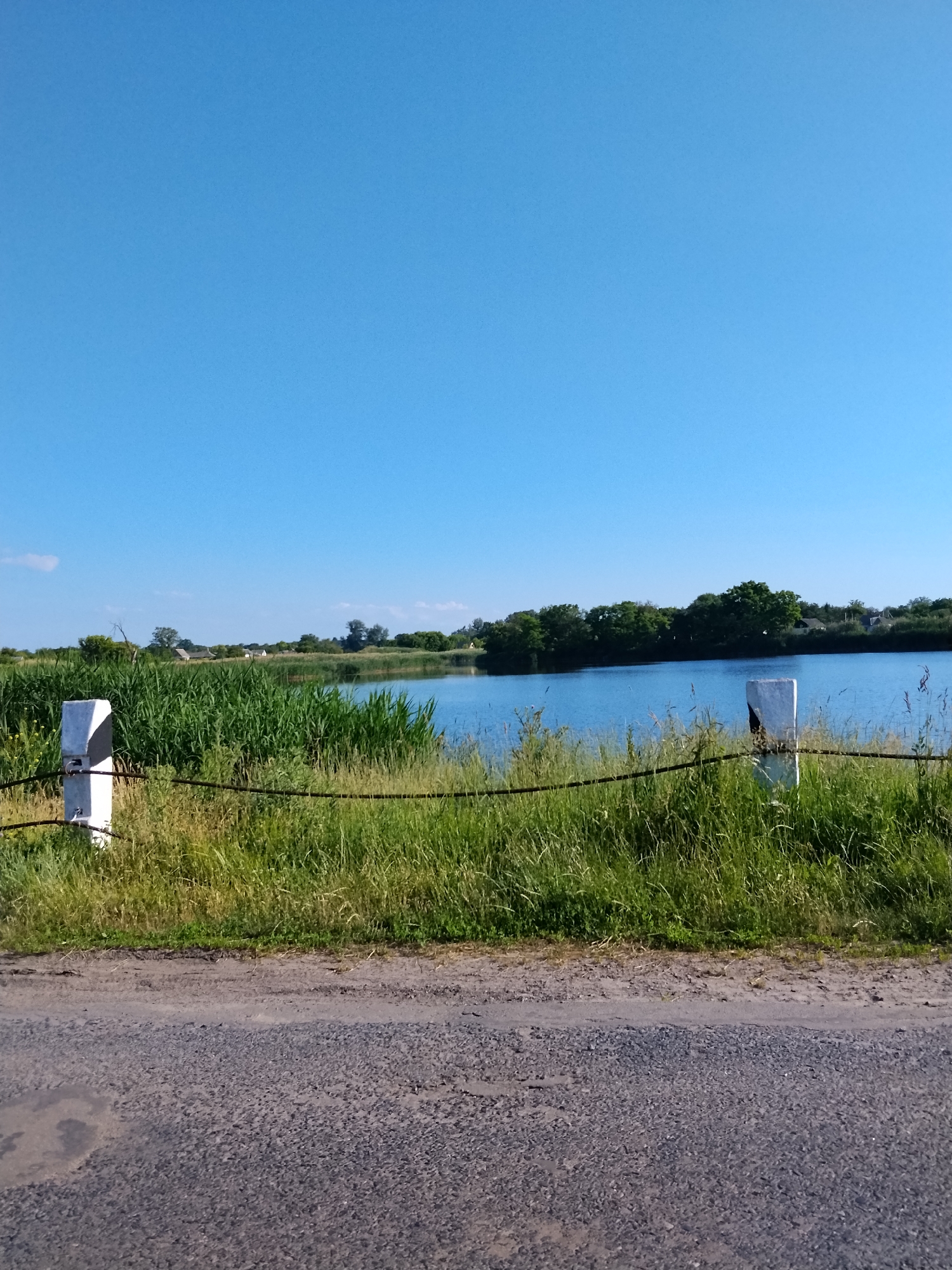 The image depicts a roadside view of a tranquil body of water and lush vegetation under a clear blue sky. In the foreground, a grey asphalt road occupies the lower portion of the frame, showing some wear and tear. A wire fence runs horizontally across the middle ground, separating the road from a vibrant green grassy embankment. Beyond the embankment, a calm, blue lake stretches into the distance, reflecting the sky. Tall reeds and other green plants border the lake. In the background, a line of trees forms a dense green canopy, with hints of scattered buildings visible behind them, suggesting a rural or semi-rural setting, possibly within or near the village of Ustyvytsia, Ukraine. Two white posts, possibly road markers, are visible in the middle ground, one on the left and another on the right, each with a dark horizontal stripe. The overall atmosphere is serene and natural.