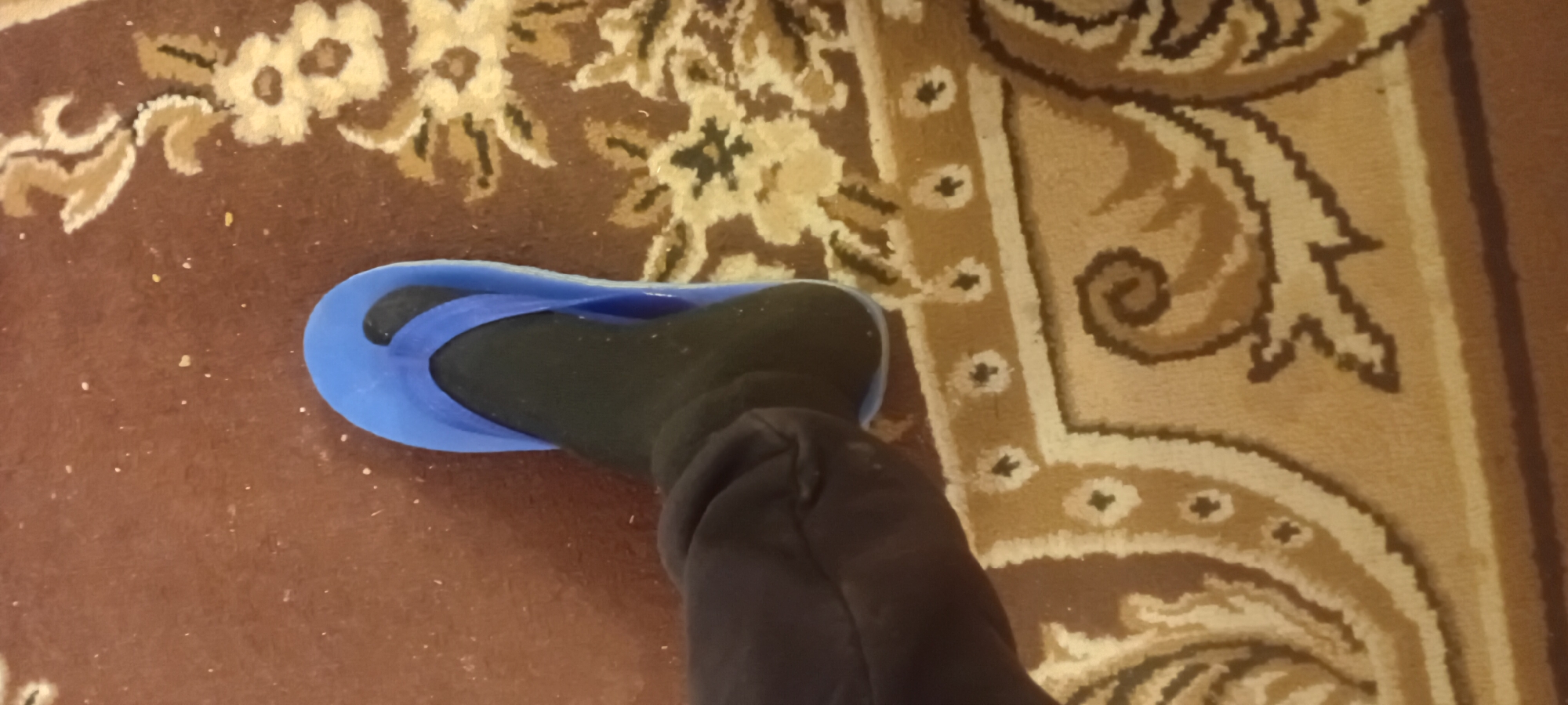 A person's foot is visible, clad in a black sock and a blue flip-flop, resting on a brown carpet with a floral pattern. The carpet appears to have a border with a geometric design. The scene is indoors, as indicated by the carpet.