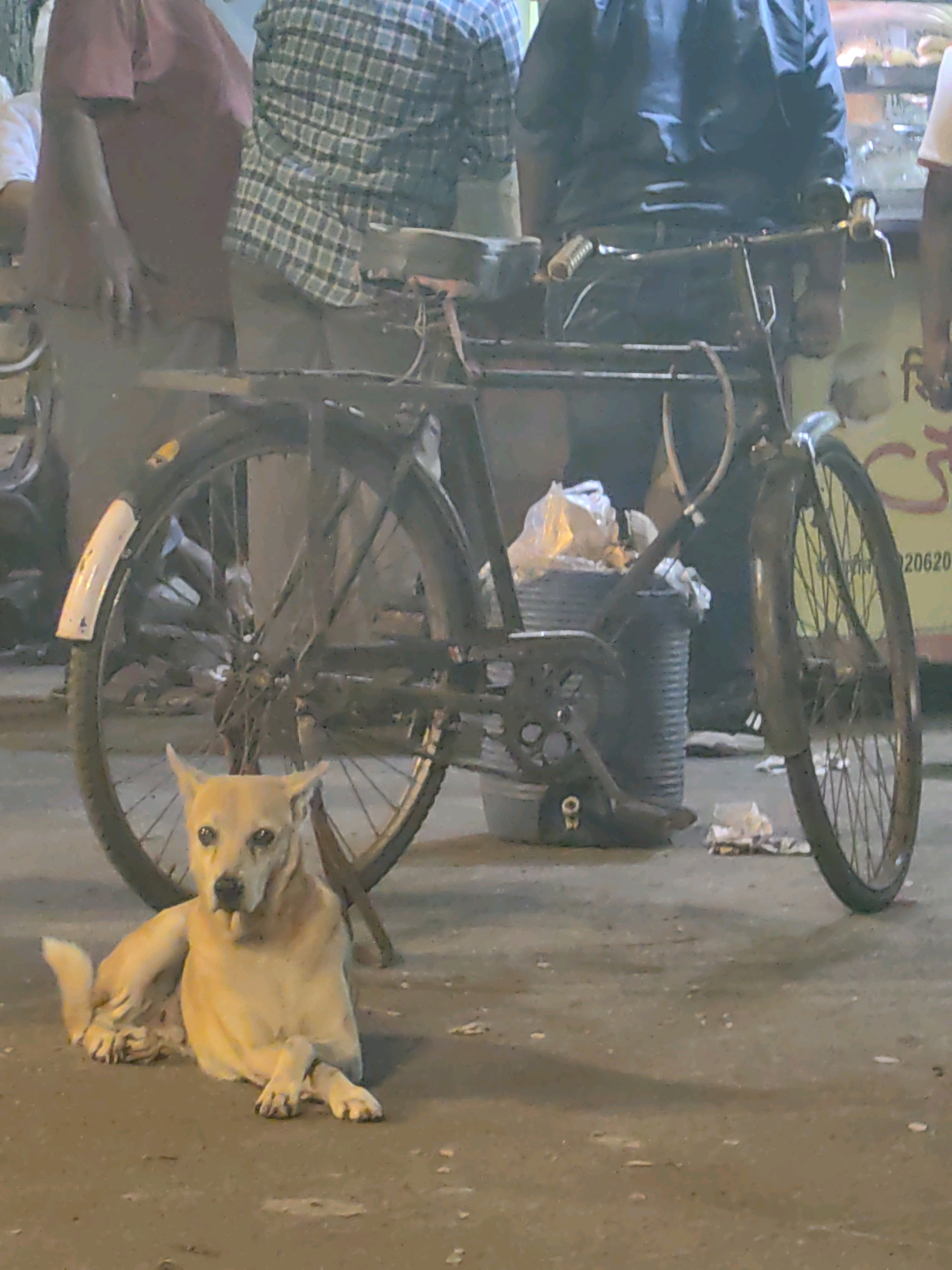 The image depicts a street scene in Mumbai, India, featuring a light-colored dog resting on the ground in front of a bicycle. The dog is lying down, with its front paws crossed. The bicycle, which appears to be old, has a large rear wheel prominently displayed. Behind the bicycle, several people are partially visible, suggesting a public or market area. The ground is paved, and there is some debris scattered around. The overall atmosphere appears to be casual and everyday, typical of a bustling Indian city.