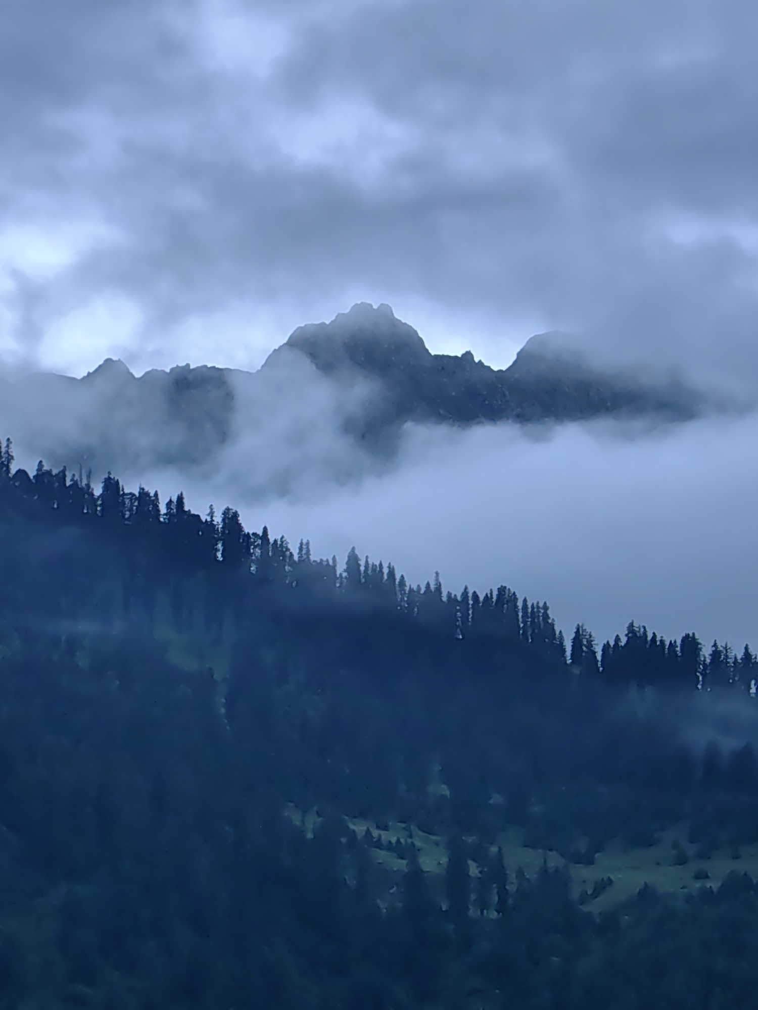 A moody, overcast landscape in Vashisht, India, features a band of dark, silhouetted pine trees on a steep hillside. Above the treeline, jagged mountain peaks emerge from swirling mist, their sharp contours softened by the fog. The sky is a uniform, pale gray, with indistinct cloud formations. The lower slopes of the mountain are shrouded in deep shadow, with hints of green terrain visible through the darkness. The scene conveys a sense of dampness and isolation, with no human presence evident.