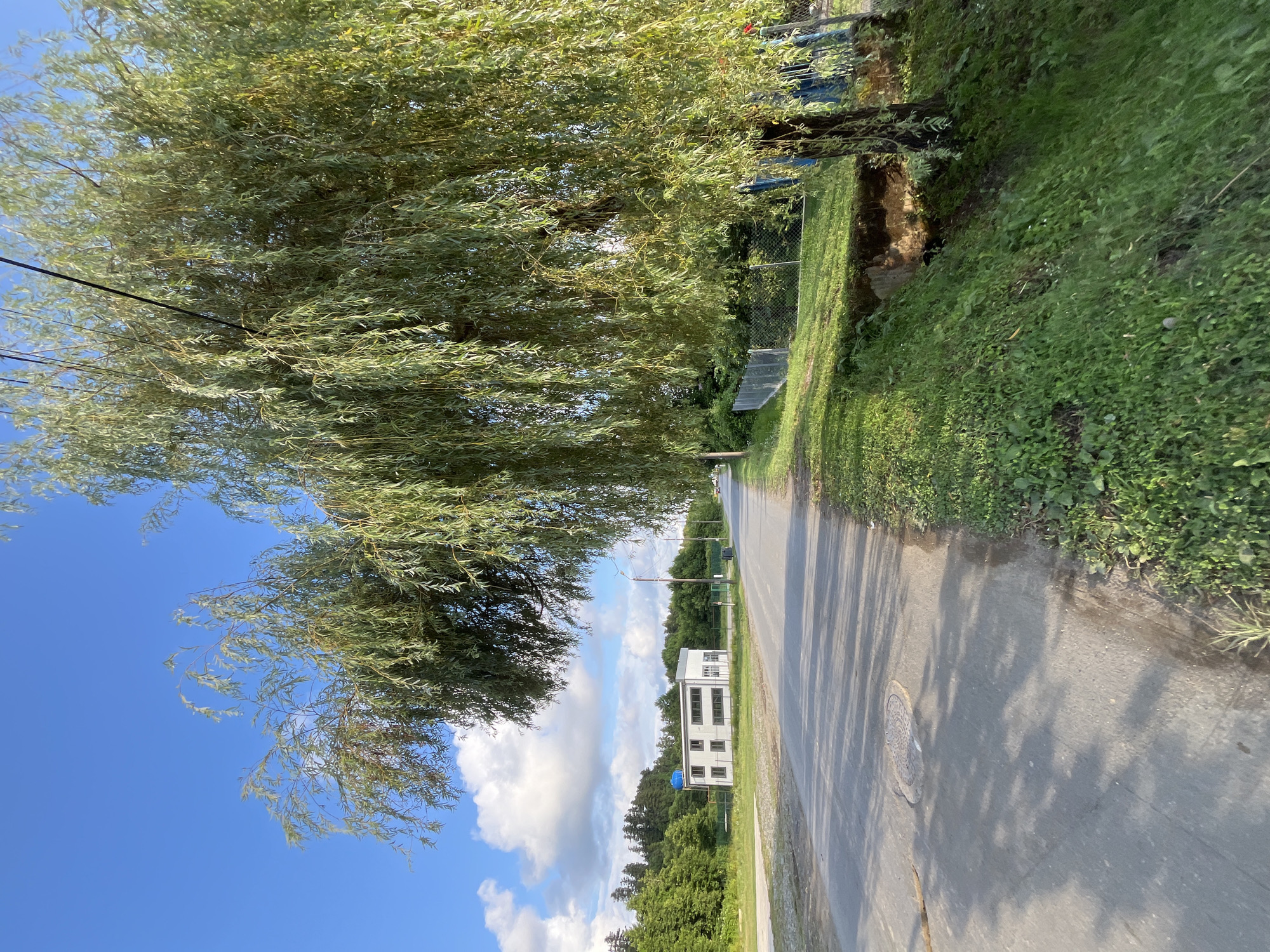 The image captures a scene in Ureki, Georgia, featuring a paved road with a grassy shoulder and a weeping willow tree in the foreground. A white, modern-looking building with multiple windows and a blue cylindrical tank on its roof is visible in the distance on the left side of the road. A chain-link fence runs along the right side of the road, bordering a sloped, grassy embankment. The sky is blue with scattered white clouds, and the sunlight casts shadows on the road. The overall impression is one of a rural or semi-rural setting, possibly on the outskirts of a town.