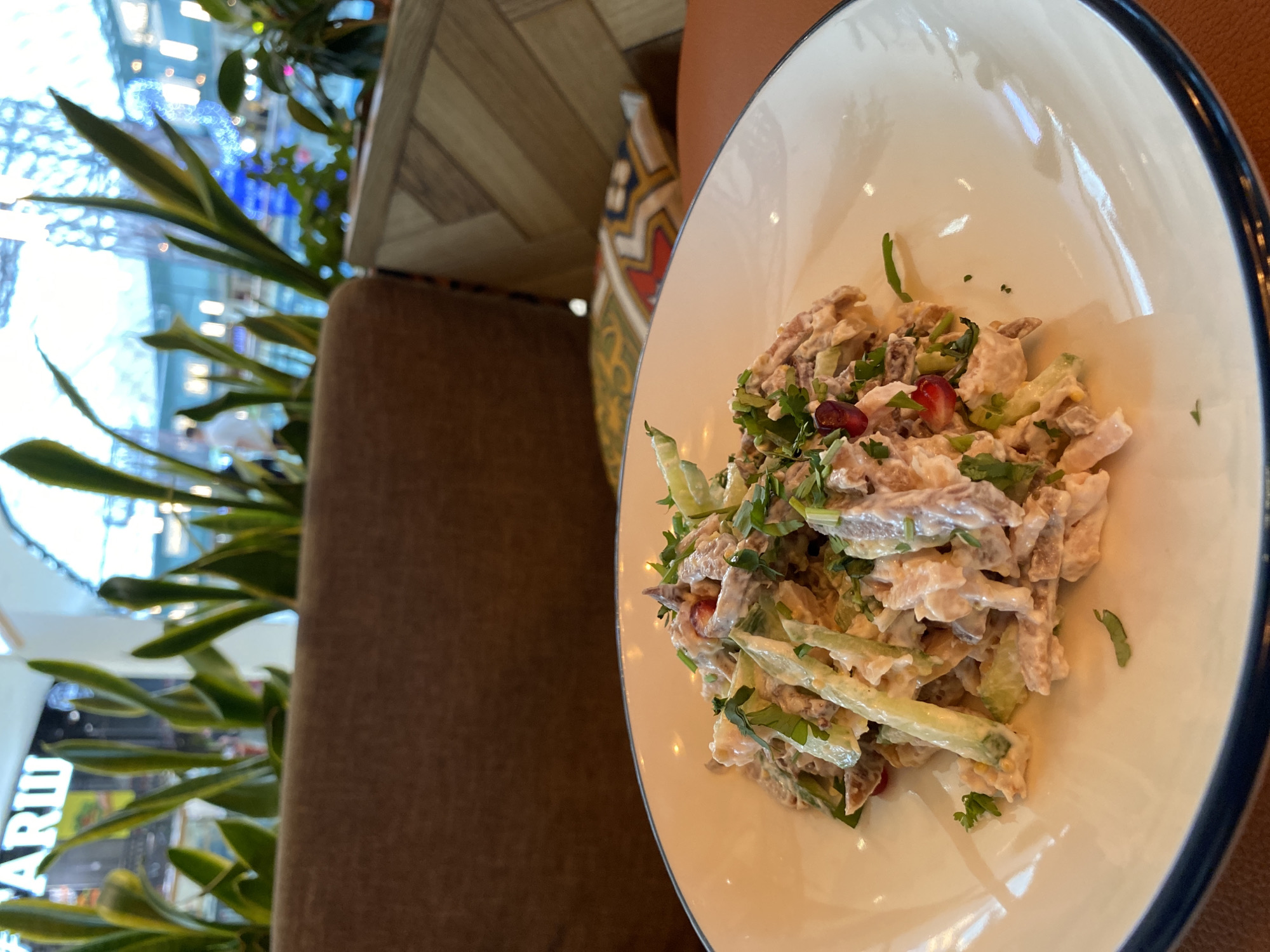 The image captures a close-up view of a salad served in a white bowl with a dark blue rim, likely photographed in a restaurant or cafe. The salad appears to contain ingredients like strips of meat, cucumber slices, herbs (possibly parsley), and pomegranate seeds, all coated in a creamy dressing. The bowl sits on a brown surface, possibly a table or a seating area. In the background, there is greenery, possibly a potted plant. The setting is indoors, with a blurred view of what seems to be a window or an open space revealing urban elements, suggesting the location could be a cafe or restaurant in a city. Given the prompt specifying the location as Perm, Russia, it's reasonable to assume this scene is within an establishment in Perm. No people are directly visible in the frame.