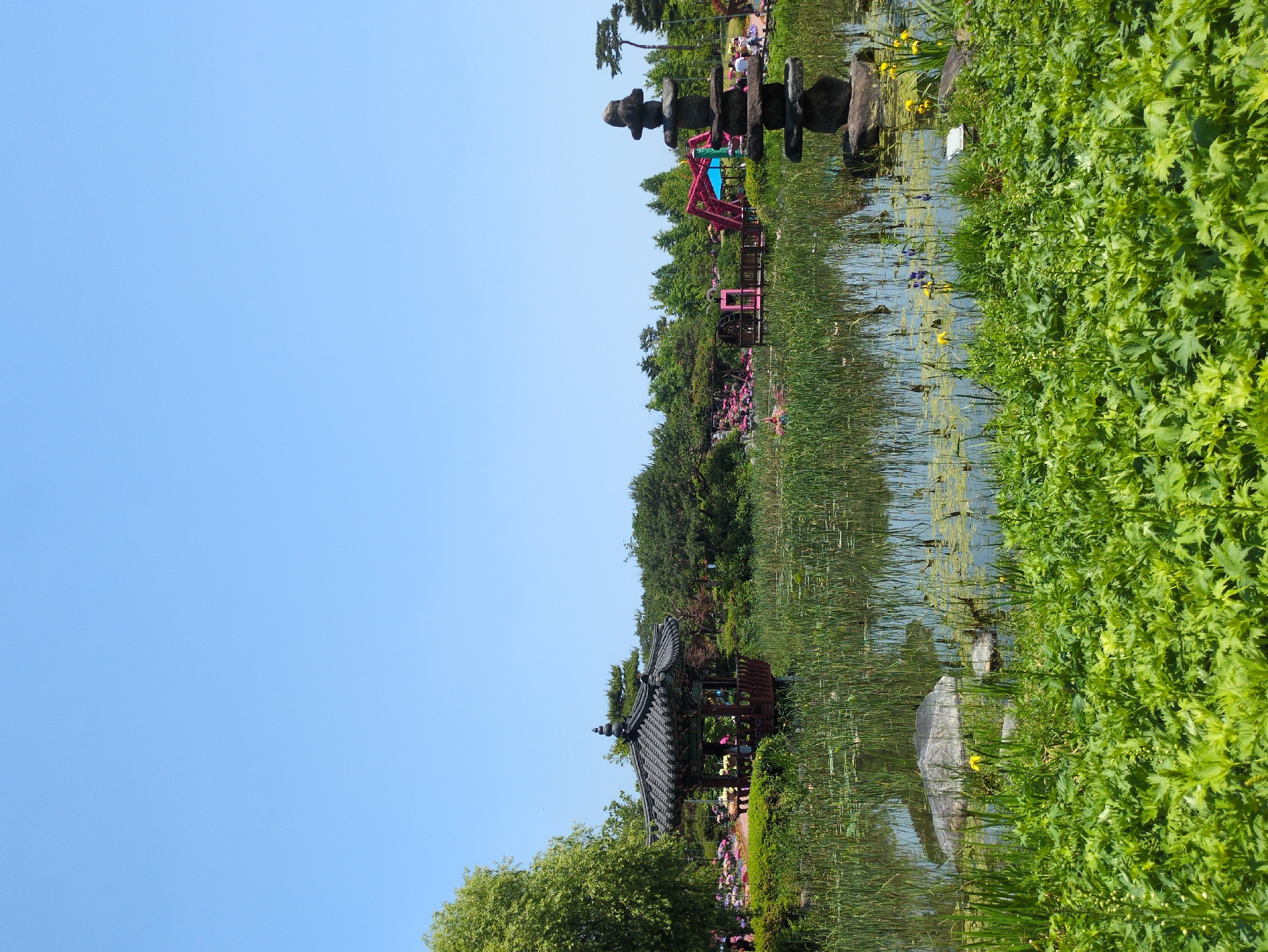 The image captures a scenic view within a park located in Daejeon, South Korea. The perspective is oriented vertically. Dominating the scene is a pond overgrown with reeds and aquatic vegetation. Patches of bright green foliage border the pond's edge.
Several elements of interest are dotted along the water: a traditional Korean pavilion with a dark tiled roof, a series of stacked stones that might form a sculpture, and a vibrant red wooden structure resembling a bridge or ornamental piece.
In the background, a variety of trees and plants fill the landscape. Faint figures of people can be seen walking around, suggesting the park is open to the public. The sky above is clear and blue.