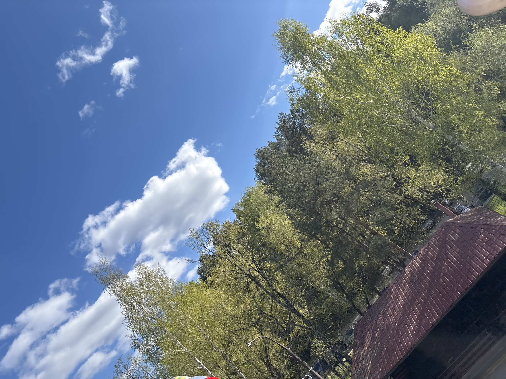 The image depicts a view of the sky, trees, and a building's roof in Chaikovsky, Russia. The sky is blue with scattered white clouds. Various trees with green foliage are visible, their branches reaching towards the sky. A roof with brown tiles occupies the bottom right corner of the image, indicating the presence of a building. The scene appears to be outdoors on a sunny day.