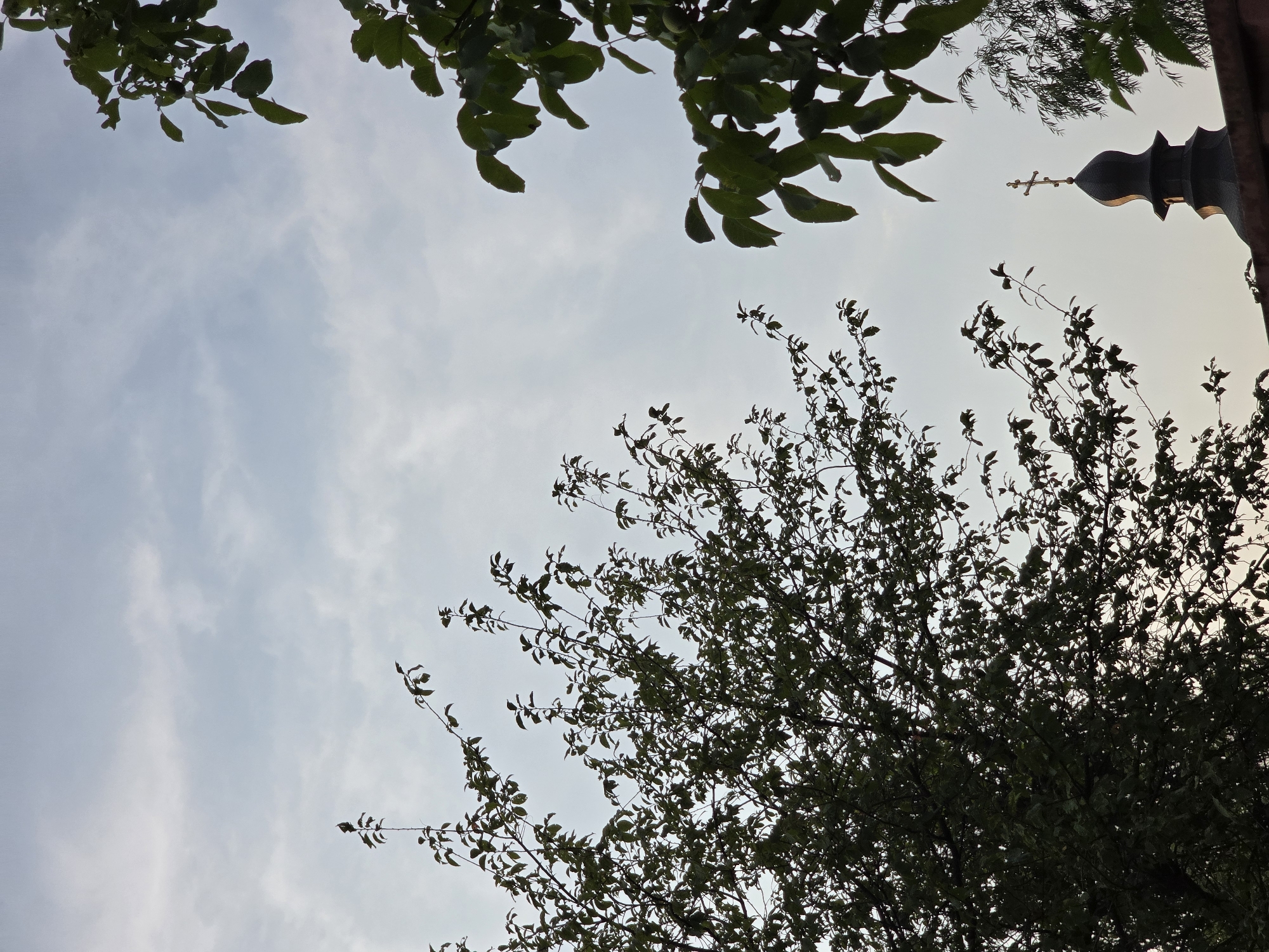 A dark, silhouetted church dome with a golden cross atop is visible in the lower right quadrant of the frame, partially obscured by branches and leaves from two trees. The sky above is a soft, hazy blue with wispy clouds. The leaves of the trees are green, with the foliage on the left appearing denser and darker than the leaves on the right. The scene appears to be set in the city of Vyshneve, Ukraine.