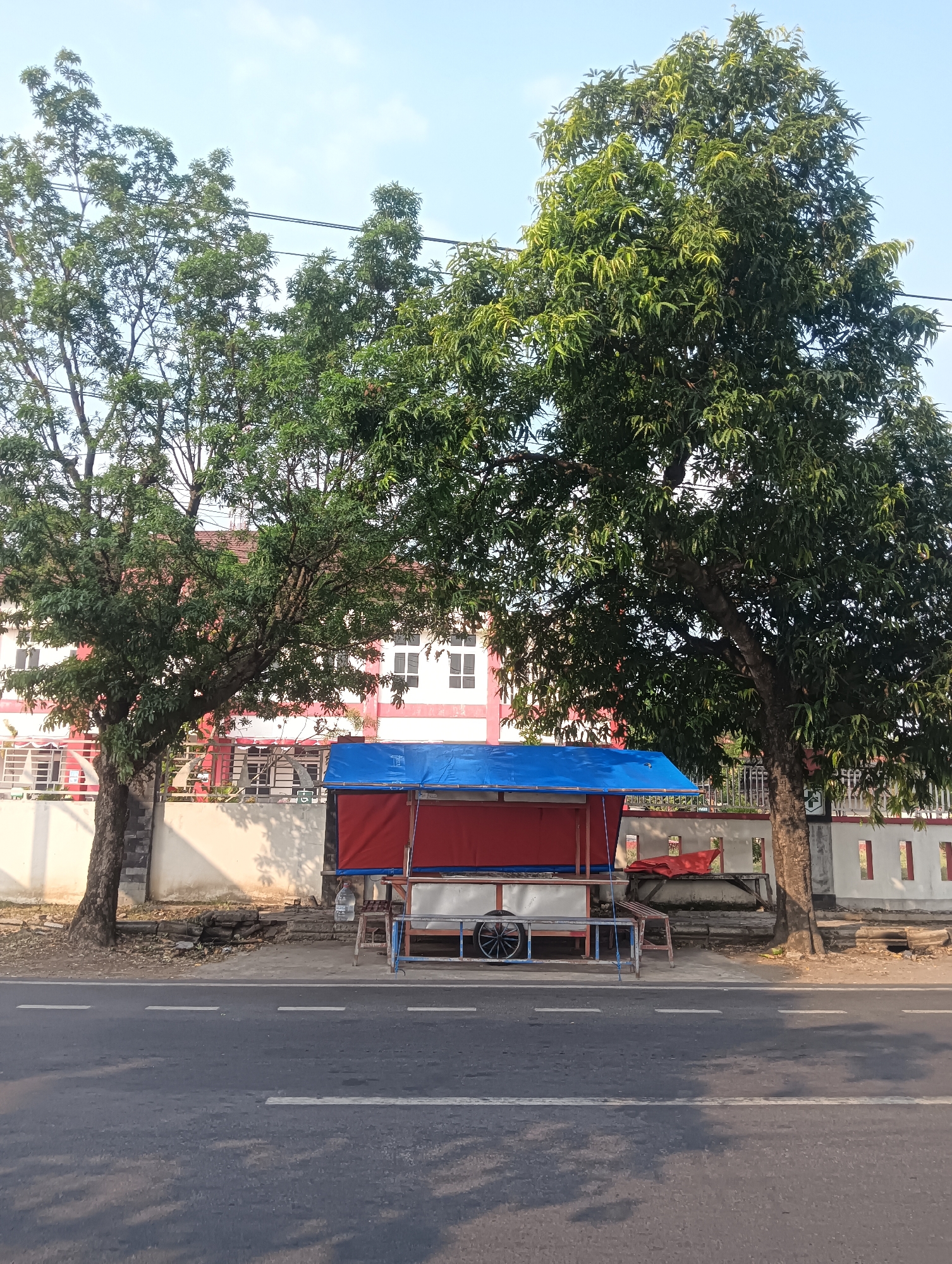 The image shows a street scene in Sragen, Indonesia, on a bright day with a clear blue sky. In the foreground, a two-lane asphalt road with white lane markings runs horizontally across the frame. To the left of the road, a sidewalk area is visible, which transitions into a paved area with some debris and broken concrete.
Dominating the background is a two-story building with white walls and red trim around the windows and roofline. The windows are square and have a grid pattern. The building is partially obscured by two large, mature trees with dense green foliage. One tree is on the left, and the other is on the right side of the frame, both casting shadows on the road and ground.
Between the trees and in front of the building, a small, empty food cart is set up. The cart has a metal frame with blue tarp covering its roof and red fabric panels on its sides. It appears to be a portable vending stall. A single wheel is visible on the side of the cart. Some wooden benches or tables are also present near the cart, as well as a red cloth lying on a surface behind the cart. A plastic water bottle is placed on a ledge to the right of the cart. The overall impression is a quiet street with a closed-down food stall under the shade of large trees.