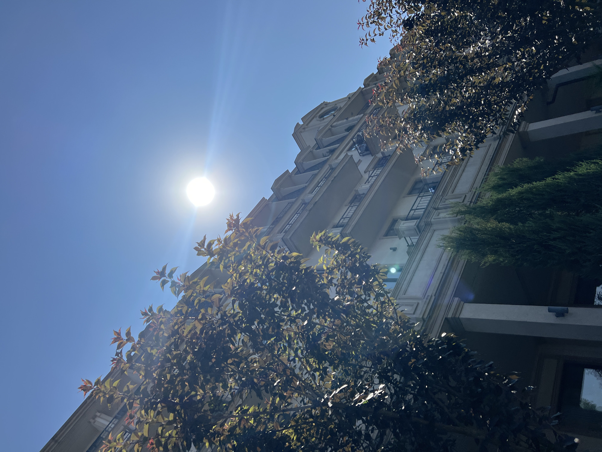 The image captures a low-angle view of a multi-story building with a distinctive mansard roof, adorned with decorative elements like columns and balconies. The building's facade is light-colored, contrasting with the dark foliage of trees in the foreground and to the right. The sun is prominently visible in the upper portion of the frame, casting bright rays and creating lens flare. The sky is a clear, vibrant blue. In front of the building, several evergreen trees are planted. The scene appears to be an exterior shot taken during daylight hours, possibly in a residential or commercial area. The location is identified as Fontanka, Ukraine. There are no people or explicit actions depicted in the image.