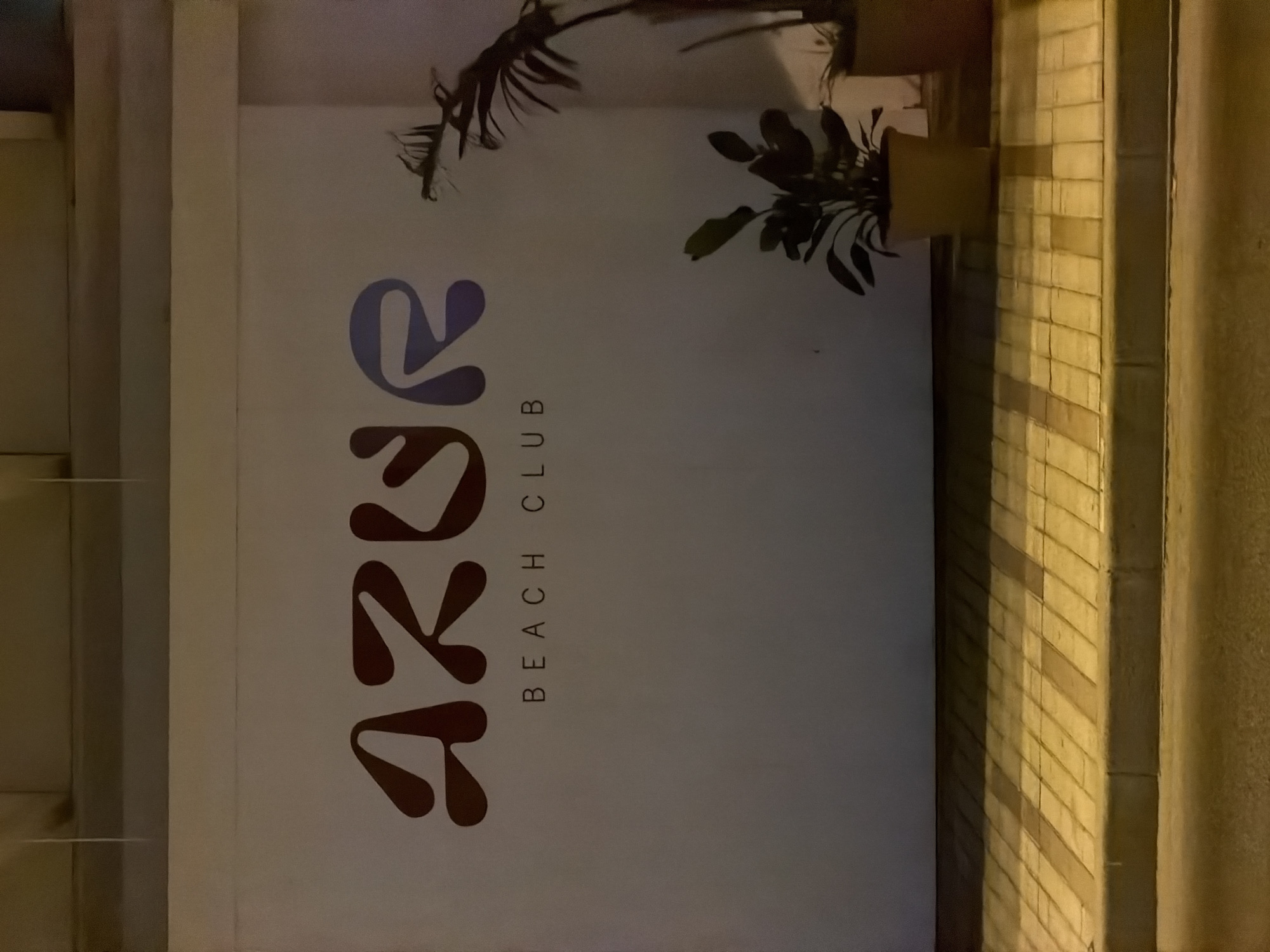 The image depicts the exterior of the "AZUR BEACH CLUB" in Palmanova, Spain, at night. A large, stylized logo spelling "AZUR" in a dark reddish-brown color dominates the white wall. The letters have rounded edges and a fluid design. Below this, "BEACH CLUB" is written in smaller, black, sans-serif capital letters.
Two potted plants are positioned to the right of the wall: a larger plant with broad leaves in a light yellow pot, and a taller, more slender plant with feathery fronds in a darker pot, partially visible. The ground in front of the wall is paved with rectangular yellow bricks laid in a pattern, creating distinct shadows from an unseen light source. A curb separates the brickwork from the street, which is dimly lit and appears to be asphalt. The overall atmosphere is that of an establishment at closing or awaiting patrons after dark. There are no people or vehicles visible in the image.