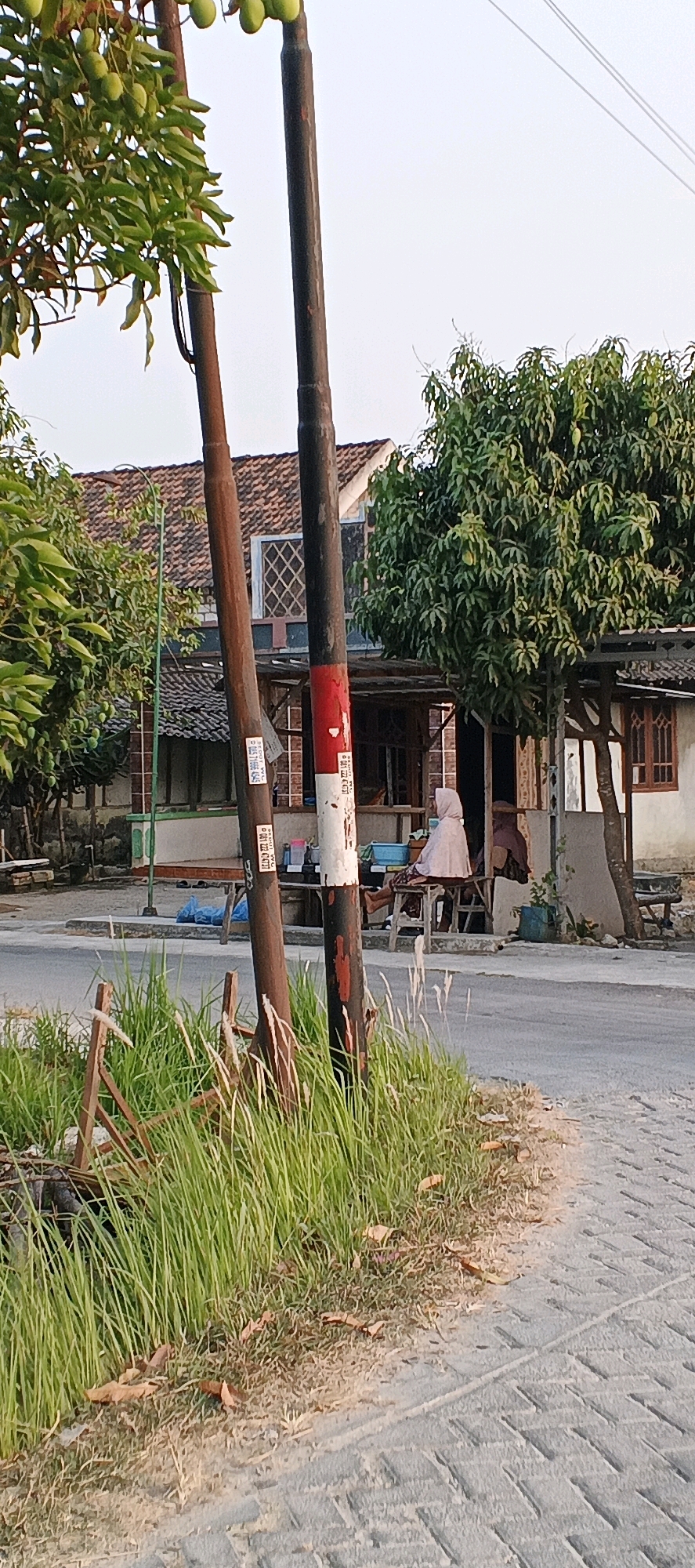 In Porodeso, Indonesia, an outdoor scene unfolds by a paved road. Two prominent wooden utility poles stand in the foreground, one with a vertical red and white band. To the right of the poles, a woman wearing a light pink hijab and covering sits on a wooden bench outside a house with a tiled roof. She is facing towards the left, away from the camera. The house has a covered porch area supported by wooden posts, and a window with a diamond pattern is visible on the upper story. Lush green trees, including what appear to be mango trees with developing fruit, surround the house. Tall green grass grows along the roadside between the poles and the paved area. The sky is clear and bright, suggesting daytime.