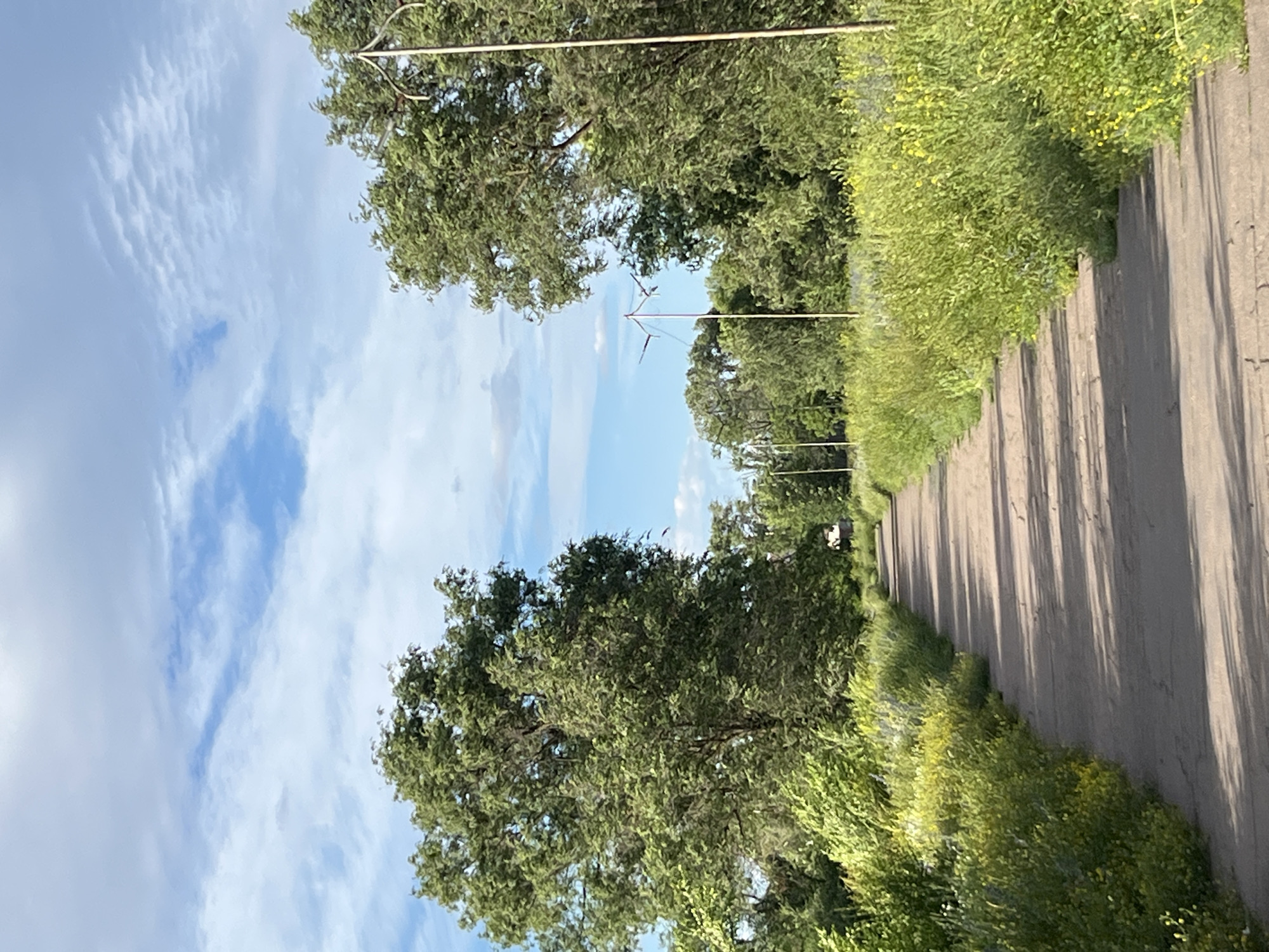 The image shows a paved pathway in a park-like setting. Tall green trees with dense foliage line both sides of the pathway, with abundant green vegetation, including yellow wildflowers, growing on the edges of the path. The sky above is a bright blue with scattered white clouds. In the distance, along the pathway, several thin, pole-like structures are visible, some with what appear to be decorative metal tops. The pathway itself is mostly in shadow, indicating the sun is at an angle. The scene appears to be a tranquil outdoor environment, possibly a public park or a nature trail within the city of Shyroka Dacha, Ukraine, given the context. There are no people or animals visible in the image.