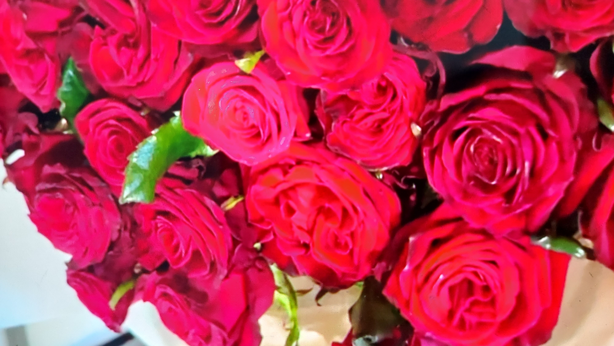 A close-up, high-angle shot shows a dense bouquet of deep red roses. The roses are tightly packed, with their velvety petals unfurling in various stages of bloom. Some roses are fully open, revealing their intricate spiral centers, while others are more closed, their buds hinting at future beauty. A few vibrant green leaves are interspersed among the blooms, adding a touch of contrast to the rich red hues. The lighting casts subtle shadows, emphasizing the texture and depth of the petals. The background is blurred, suggesting a shallow depth of field that keeps the focus squarely on the roses. There are no people or other objects visible in the frame. The scene appears to be indoors, given the soft, diffused lighting.
