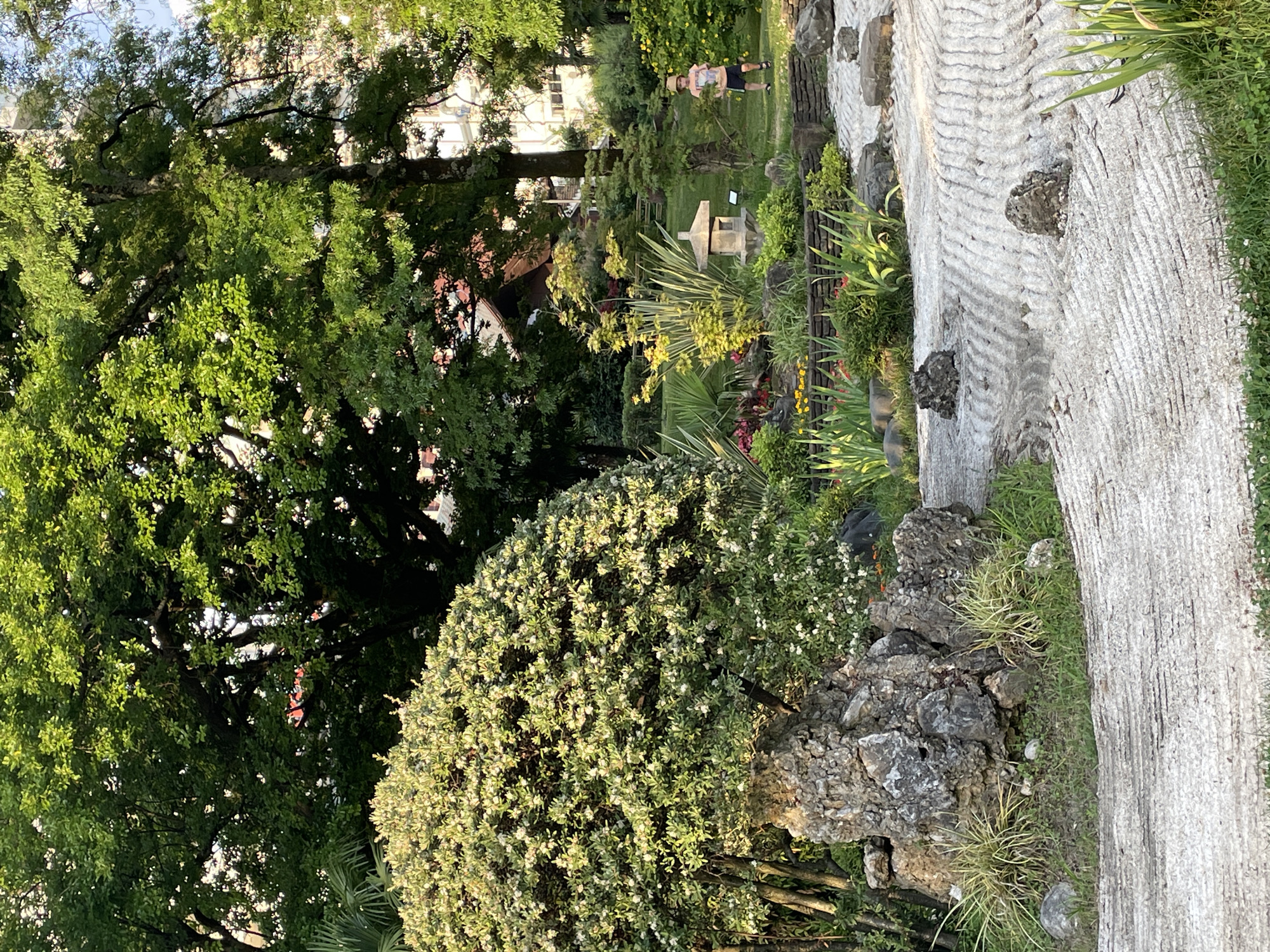 The image depicts a serene garden scene bathed in the warm glow of the late afternoon sun. Lush green trees dominate the left side of the frame, their branches reaching towards the sky. In the mid-ground, a person is seen relaxing on the grass, appearing calm and at ease. A stone lantern, a common feature in Japanese gardens, stands prominently among various plants, including some with spiky leaves and delicate white flowers. A winding pathway, possibly made of wood or concrete, runs along the right side of the image, bordered by rocks and more greenery. The overall atmosphere is one of tranquility and natural beauty, suggesting a peaceful setting for leisure and contemplation. The location is identified as Sochi, Russia, and the time of day appears to be late afternoon or early evening due to the quality of the light.