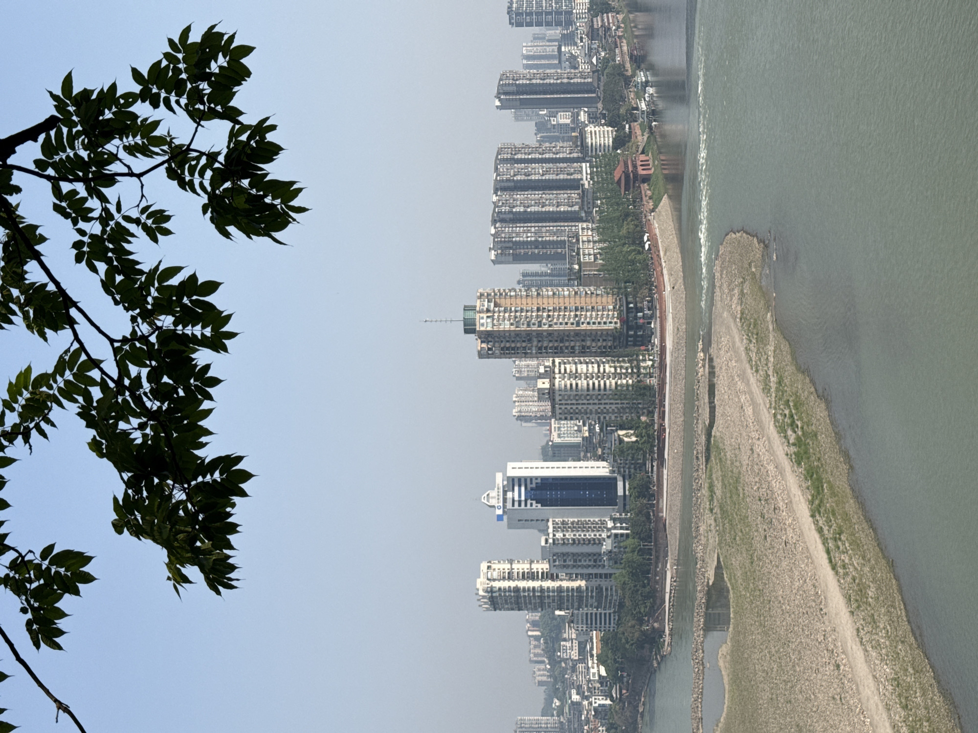 The image, when viewed upright, displays a panoramic urban landscape alongside a significant body of water, likely a river, under a clear, slightly hazy sky. In the immediate foreground, dark green leaves and branches of a tree are silhouetted against the bright blue-grey sky, framing the scene.
Beyond the foliage, a modern cityscape extends horizontally, dominated by numerous high-rise buildings, appearing to be a mix of residential and commercial towers. These structures line the banks of a wide, tranquil river. A notable feature among the buildings is a tall, white edifice with a prominent blue facade and a blue logo, where text is visible but illegible.
To the right, the expansive, murky green waters of the river flow. A long, narrow strip of land, possibly a natural sand or gravel bar, runs parallel to the city shoreline within the river. Further downstream, a structure resembling a weir or dam creates a section of turbulent, frothy white water. The riverbank adjacent to the city appears to have an embankment or pathway. The scene is illuminated by daylight, with a soft atmospheric haze common in urban areas. This view depicts a city in Shizhong, China.