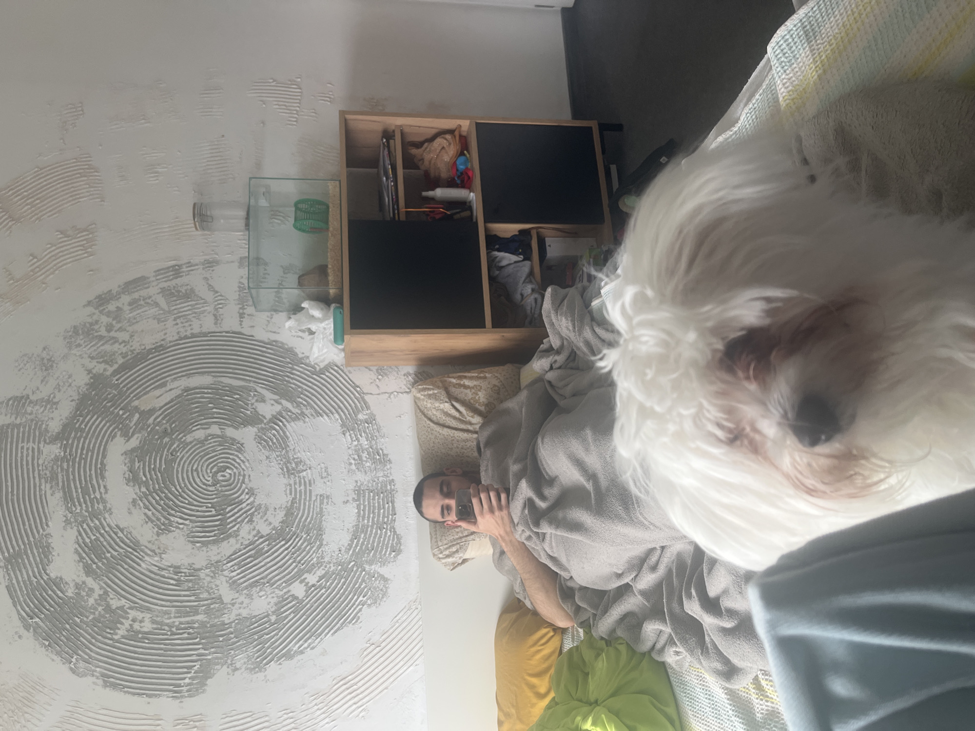 A man lies in bed taking a selfie with a white Maltese dog close to the camera. He is under a gray blanket with yellow and green pillows nearby. A wooden shelf unit with items inside stands against the wall. The wall features a textured circular design. A small, clear container is mounted on the wall next to the shelf. The location appears to be indoors. There's no information in the image to indicate a Varna, Bulgaria location.