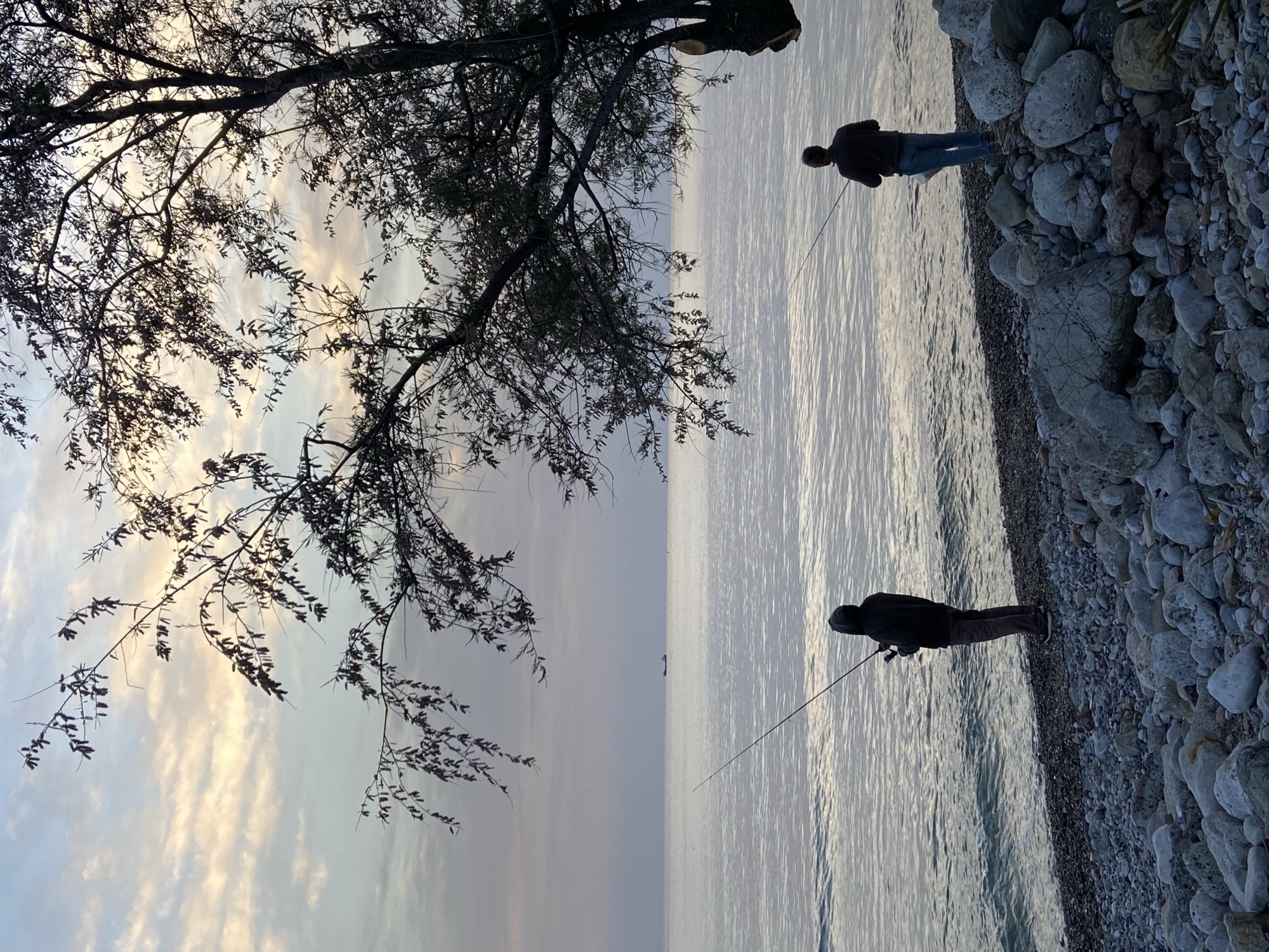 The image shows two people fishing on a rocky beach in Bar, Montenegro. The beach consists of small pebbles and larger stones. To the left, a tree with bare branches frames the scene. The sky is light with streaks of clouds, suggesting it is either dawn or dusk. The water is calm with light reflecting off the surface. Two people are visible standing on the shoreline, each holding a fishing rod. One person is located near the top right of the image and is wearing blue jeans. The other is near the center bottom, wearing dark pants. In the distance, a small object is visible on the water.