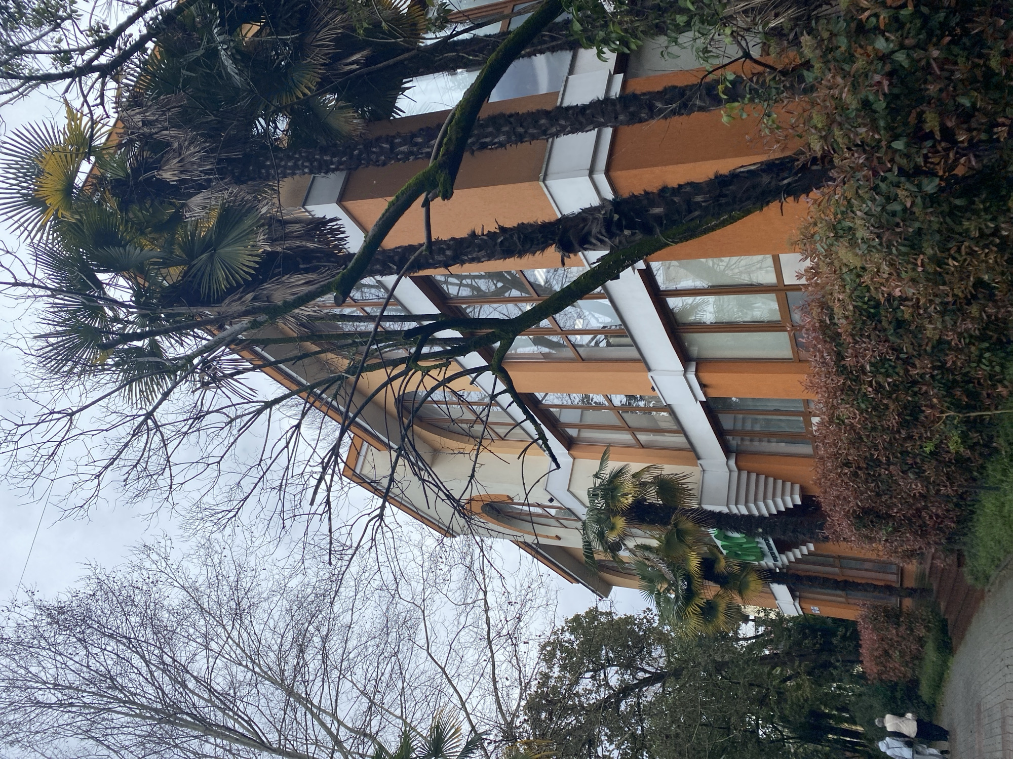 The image shows a building in Sochi, Russia, likely an apartment complex, characterized by orange and white facade. Three palm trees line the building's front. The building has several windows and a decorative, stepped architectural feature on its side. The image is taken from a low angle, looking up towards the building. Bare tree branches are visible in the foreground, suggesting it is a temperate climate. Two people stand on the sidewalk near the bottom of the image.