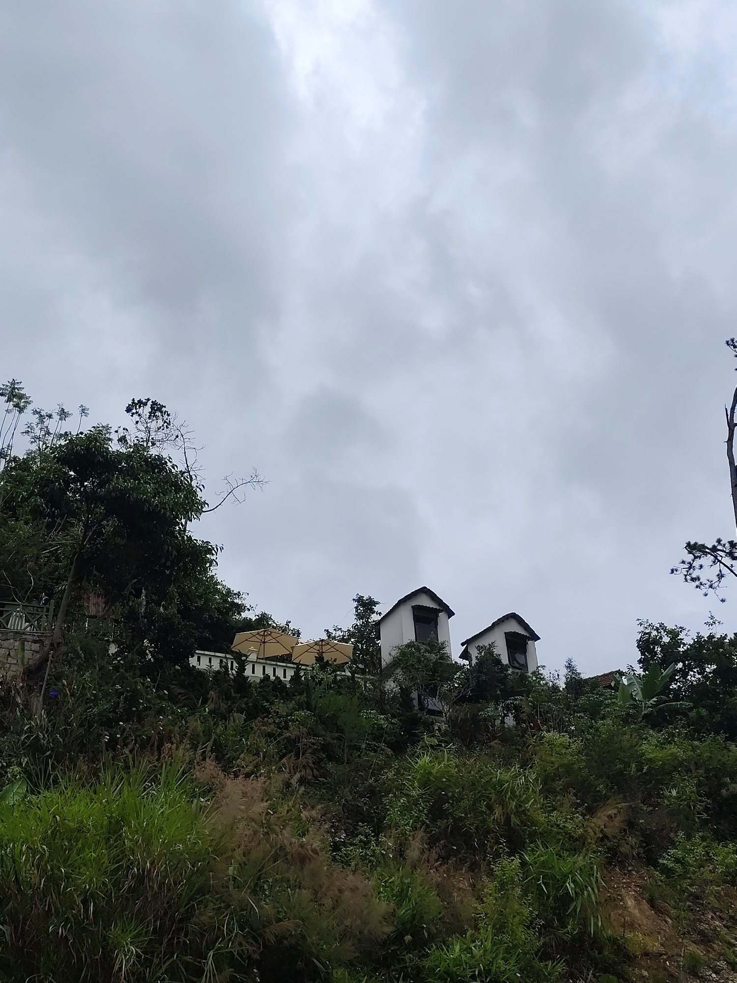 The image depicts a hillside scene, most likely in a mountainous region, under a cloudy sky. Vegetation is abundant, covering the foreground and concealing the slope of the hill. Structures are situated on the hillside. Two small, white buildings with dark, gabled roofs are visible, positioned close together. To the left of these buildings is a larger, light-colored building with a yellow roof, partially obscured by trees. In the foreground, dense greenery consists of grasses, bushes, and small trees. The sky is overcast with a uniform gray color, indicating a potentially gloomy weather. The location appears to be Da Lat, Vietnam, based on the architectural style of the buildings and the lush, tropical vegetation.