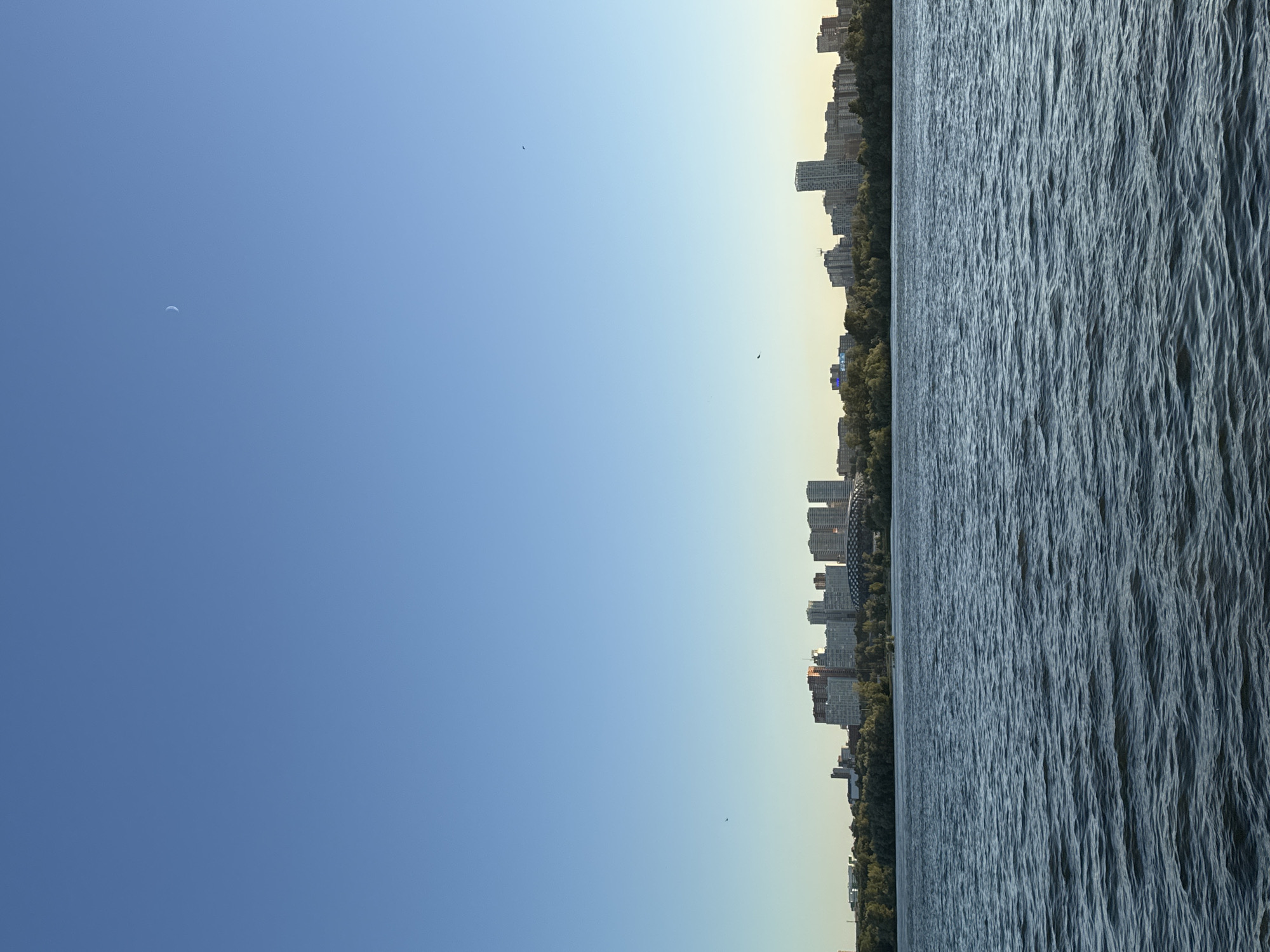 The image shows a wide, choppy body of water in the foreground, likely the Ob River. In the background, a dense line of trees separates the water from a distant city skyline. The skyline features a variety of modern, multi-story buildings, including residential high-rises and what appears to be a large, domed structure. The sky is a clear, pale blue with a faint crescent moon visible in the upper right quadrant, suggesting it is daytime. The overall scene depicts an urban waterfront. Based on the architectural styles and the presence of the Ob River, this scene is consistent with a view of Novosibirsk, Russia.