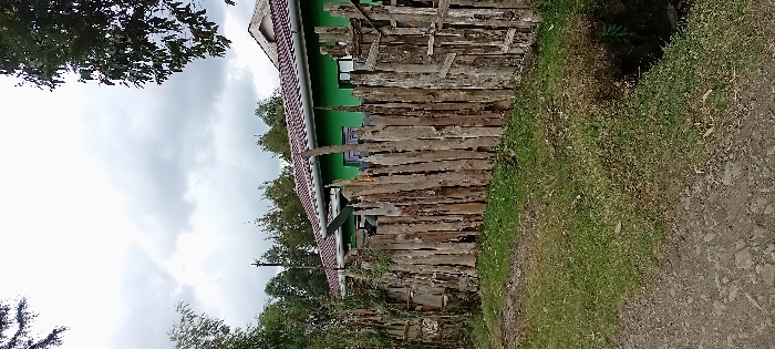 The scene depicts a daytime exterior view in Heni Village, Kenya, under an overcast sky. A rustic wooden fence, composed of vertically arranged, weathered, irregularly shaped logs, spans the mid-ground from left to right. Behind this fence, a building with bright green exterior walls and a reddish-brown tiled roof is visible, featuring a white gutter system and what appear to be purple-framed windows or doors. A dense line of green-foliaged trees forms a backdrop behind the building and extends into the upper portions of the image, alongside a dark utility pole on the left. In the foreground, a dirt path occupies the lower left, transitioning to a strip of sparse green and dried brown grass. A narrow, dark ditch or culvert runs along the right edge of the grassy area. No human or animal subjects are present, and no discernible actions or interactions are depicted.